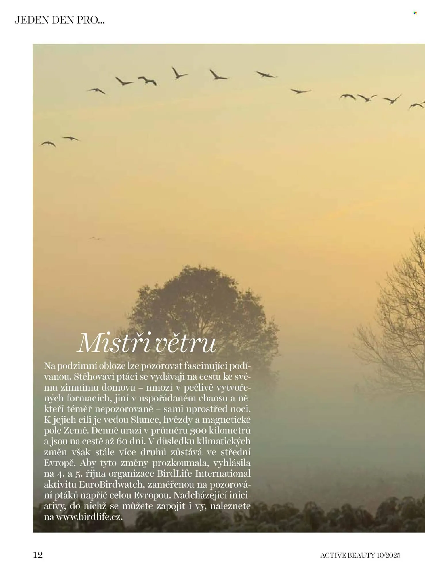 Dm drogerie leták - 10. října 6. listopadu 2025 - Page 12