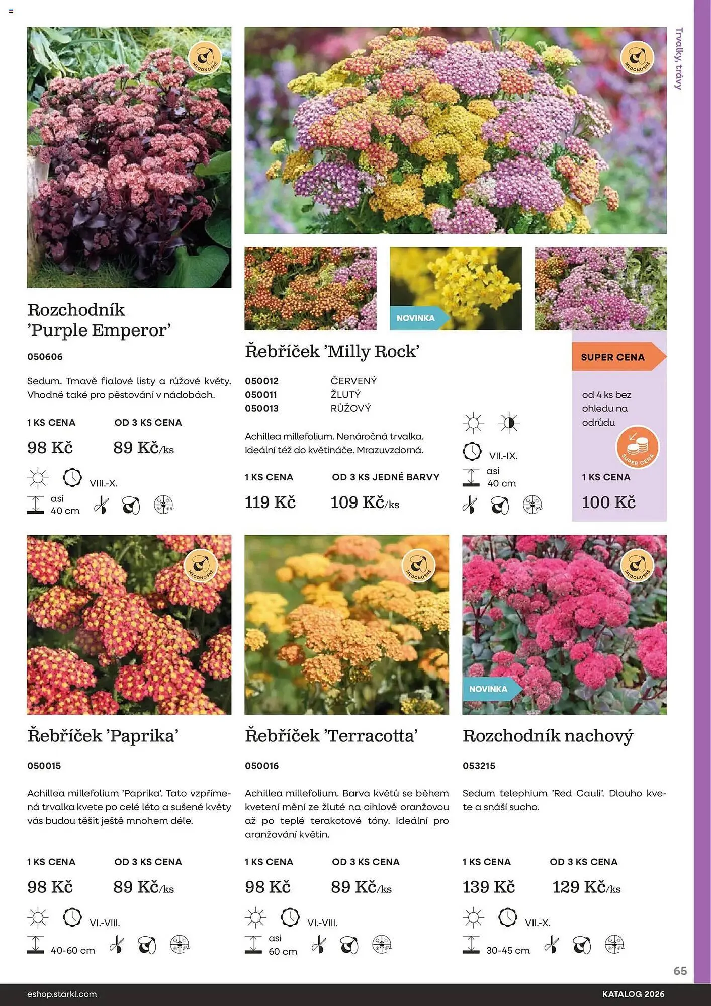 Starkl katalog - 25. února 31. prosince 2026 - Page 65