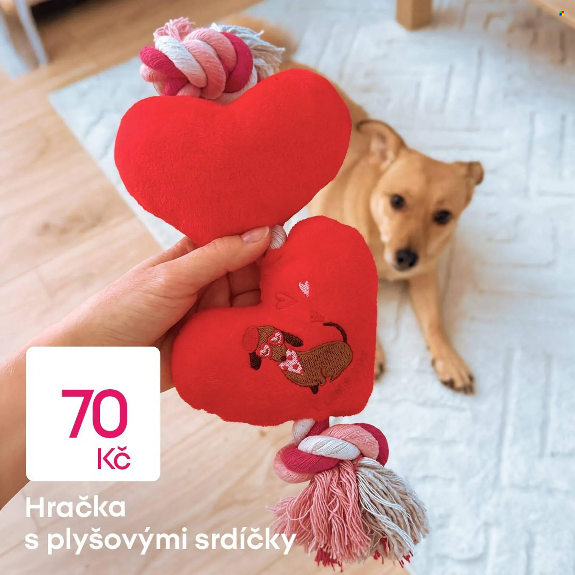 Pepco leták - 2. února 10. února 2026 - Page 3