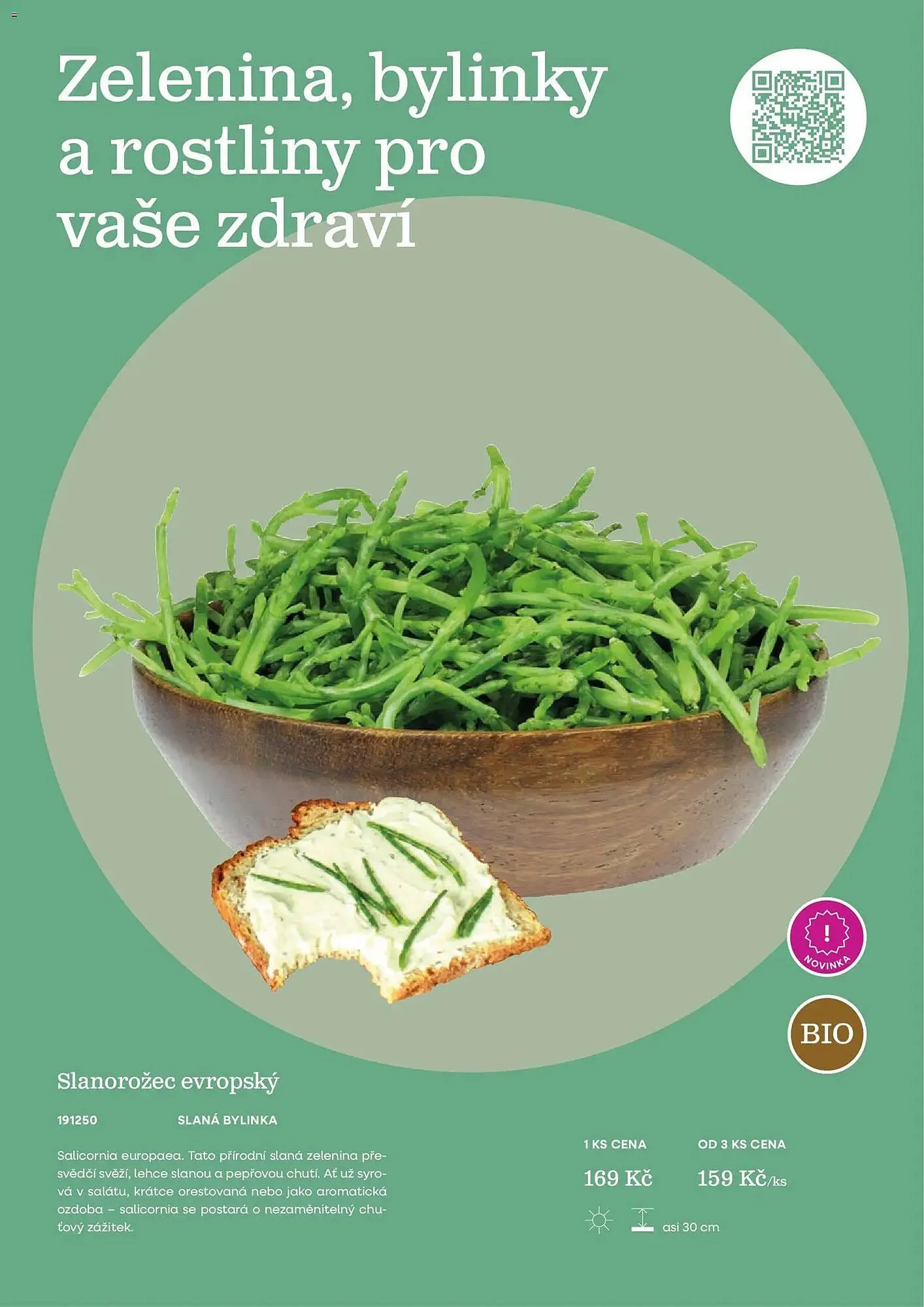 Starkl katalog - 25. února 31. května 2026 - Page 29