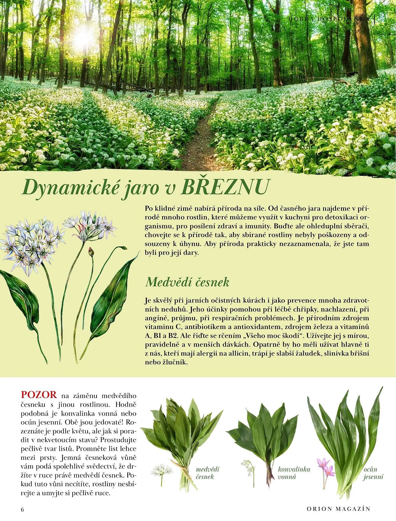 Orion leták - 19. května 1. září 2023 - Page 6