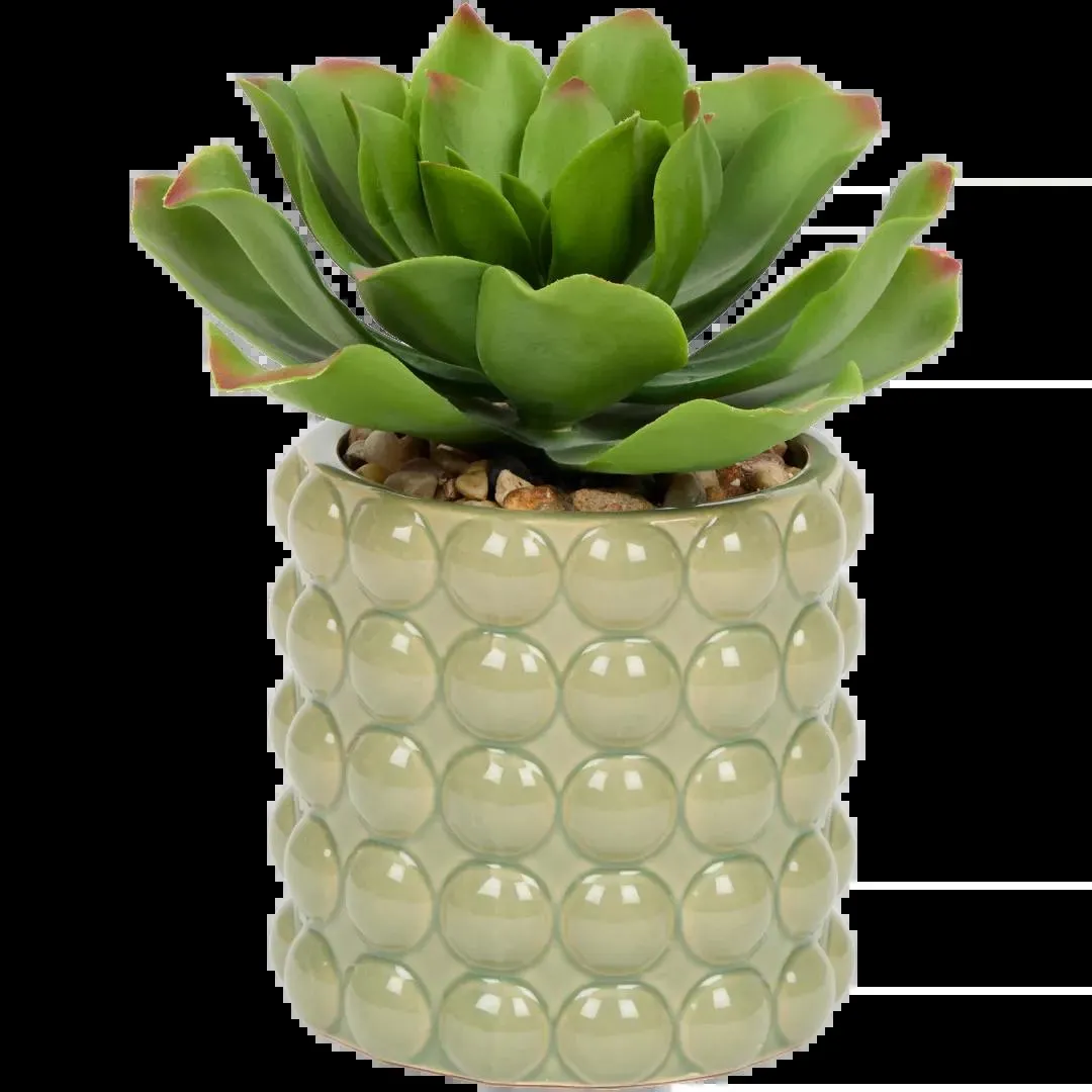 Sukulent v květináči The Hamptons Collections HOME
