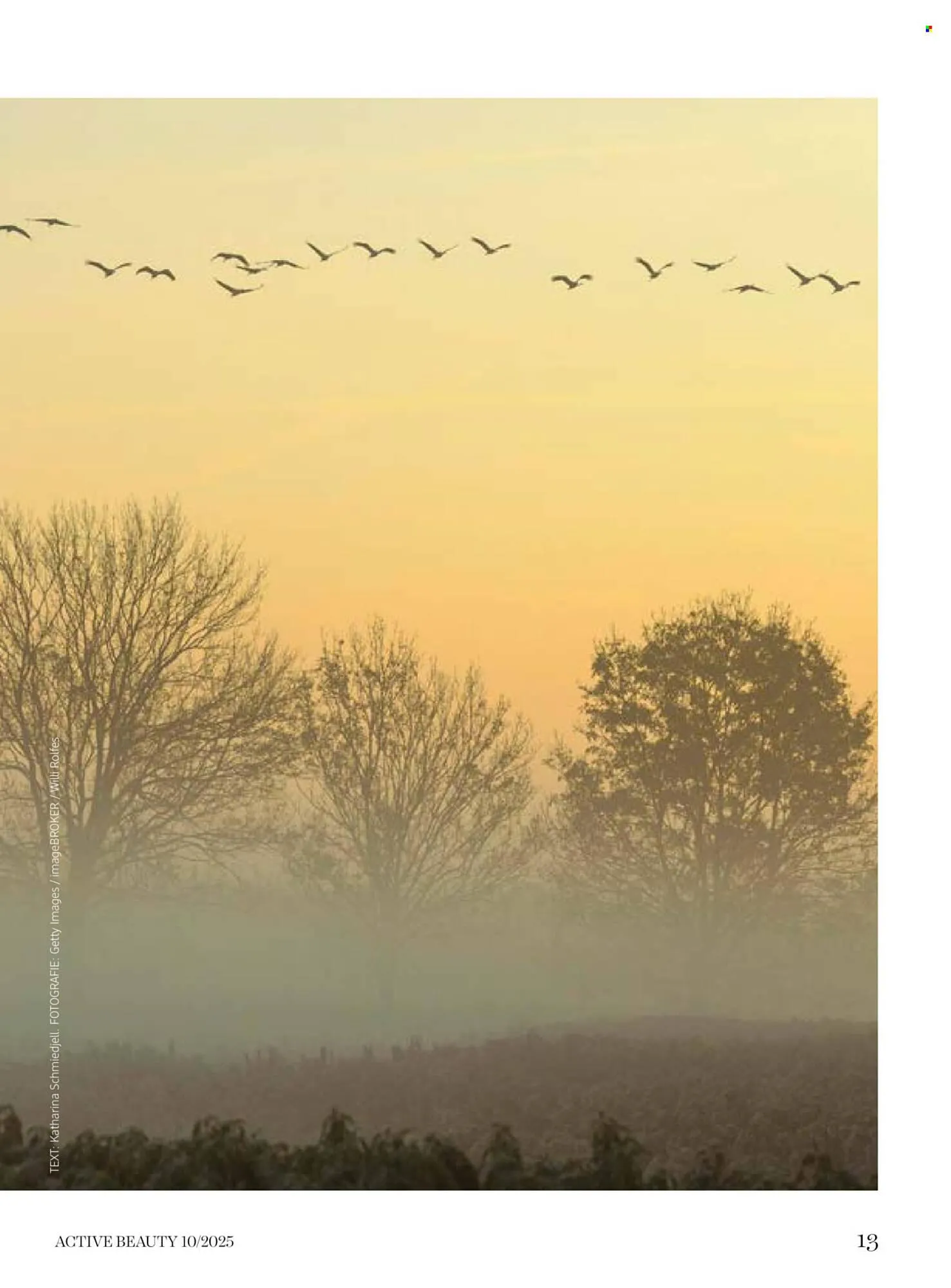 Dm drogerie leták - 10. října 6. listopadu 2025 - Page 13