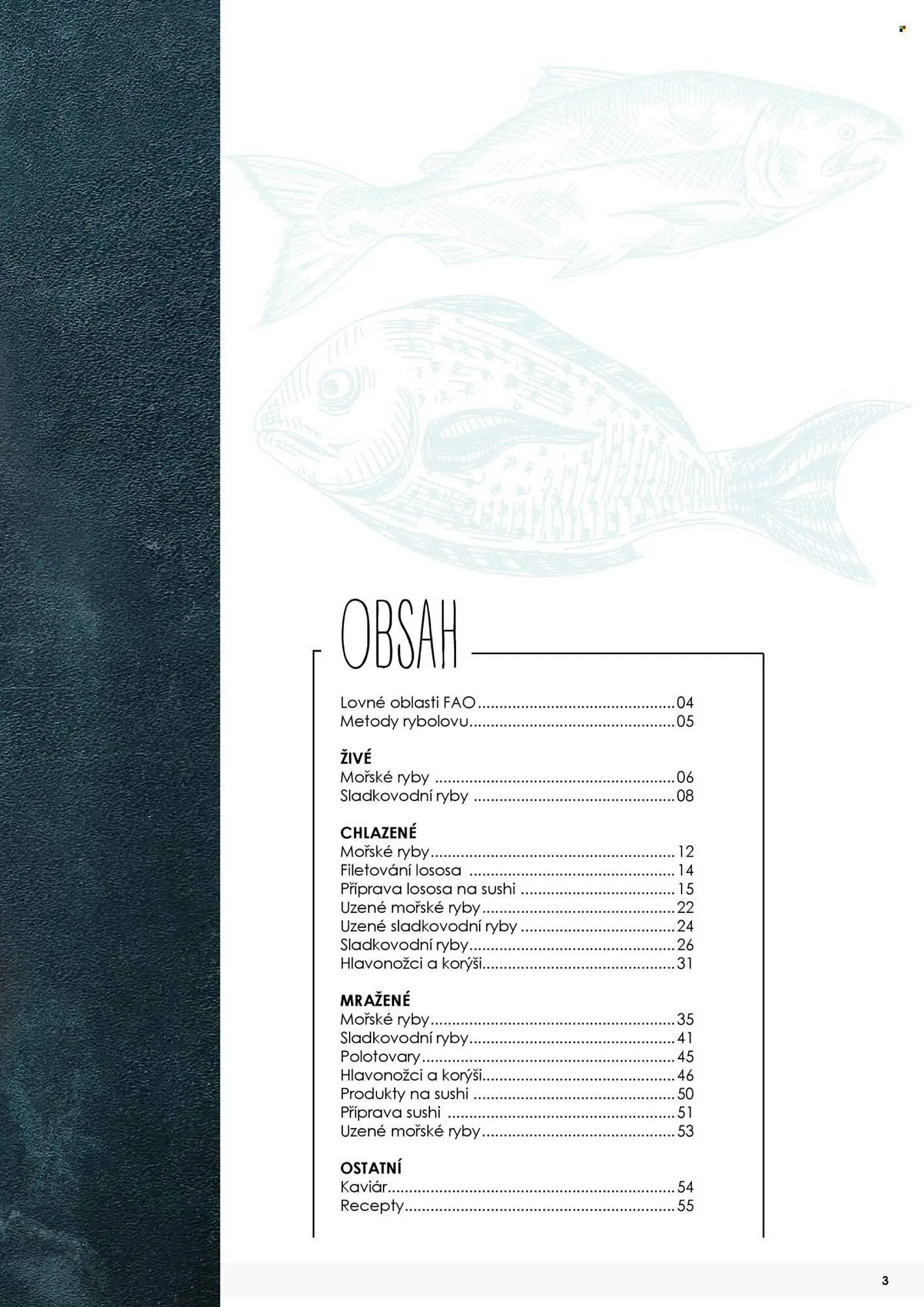 Jip leták - 7. května 31. prosince 2025 - Page 3