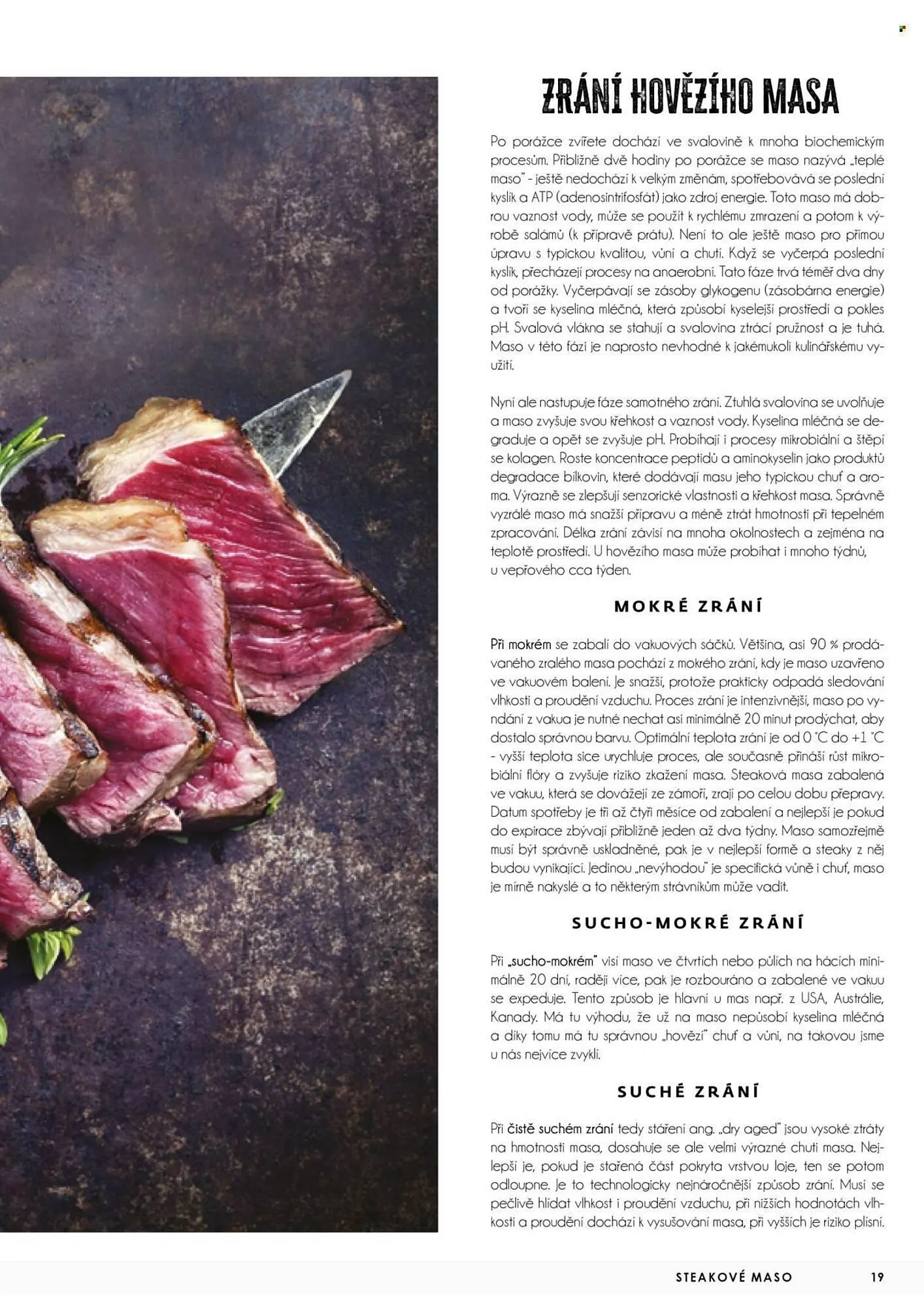 Jip leták - 3. května 31. prosince 2025 - Page 19