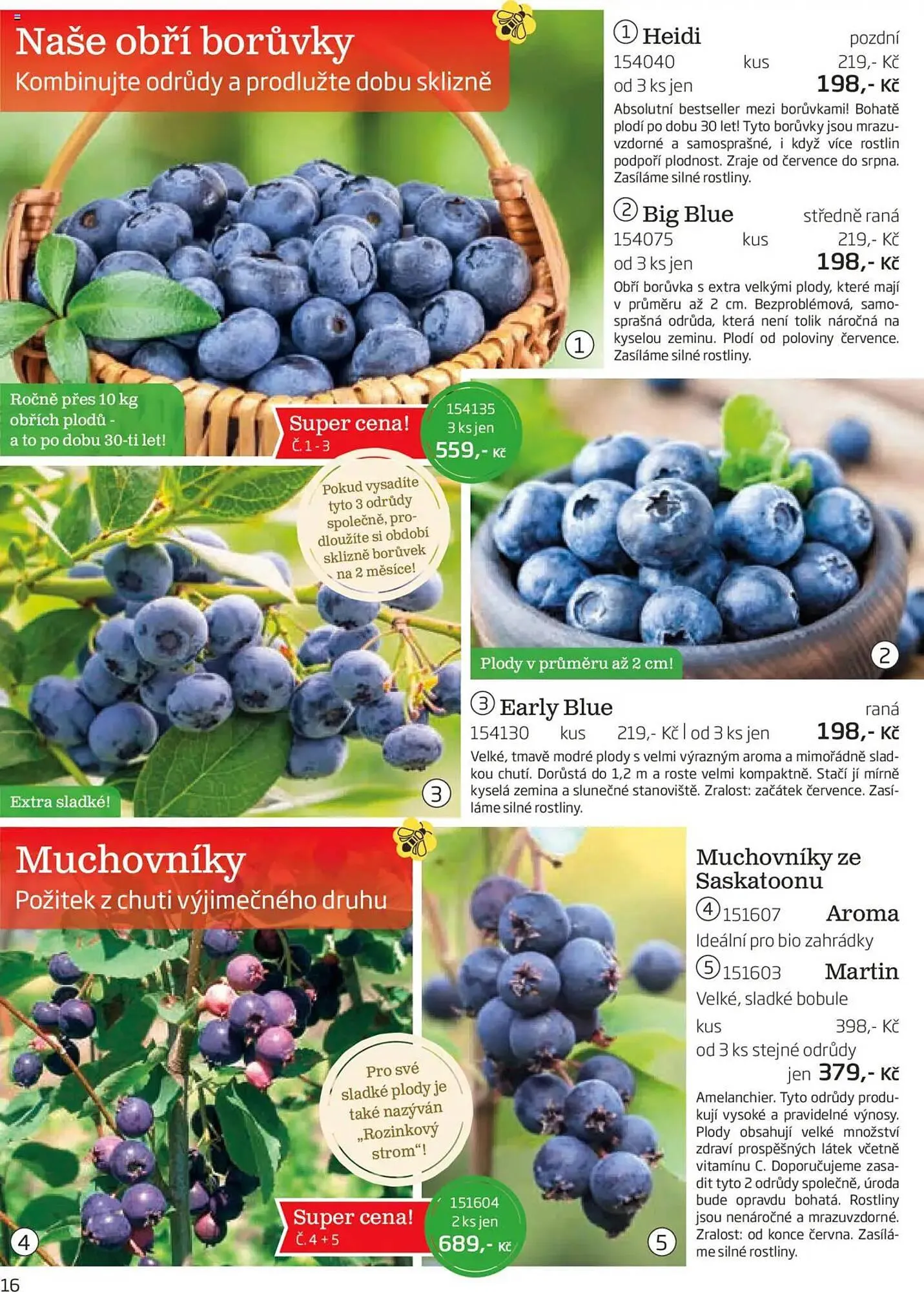 Starkl leták - 1. srpna 30. listopadu 2025 - Page 16