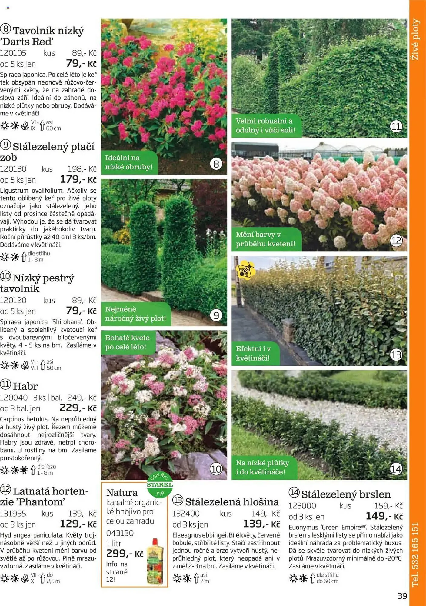 Starkl leták - 1. srpna 30. listopadu 2025 - Page 39