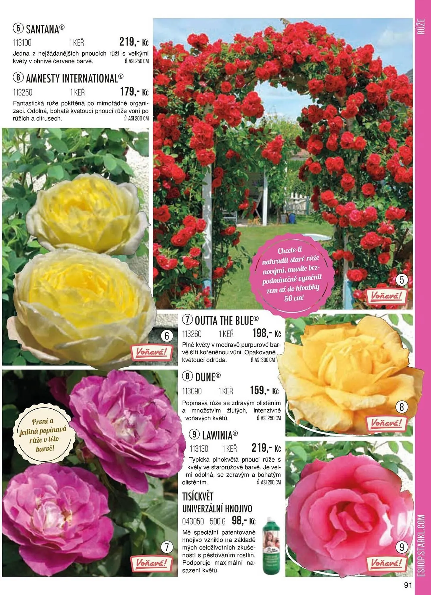 Starkl leták - 1. září 30. listopadu 2024 - Page 91