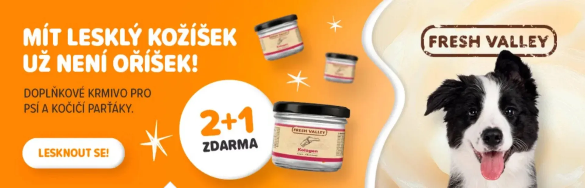 Pet Center leták - 1