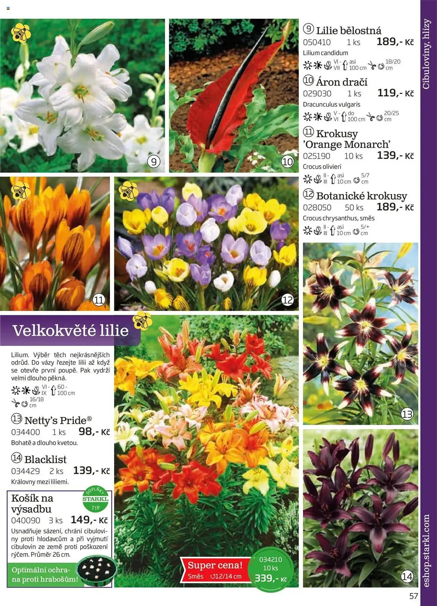 Starkl leták - 1. srpna 30. listopadu 2025 - Page 57