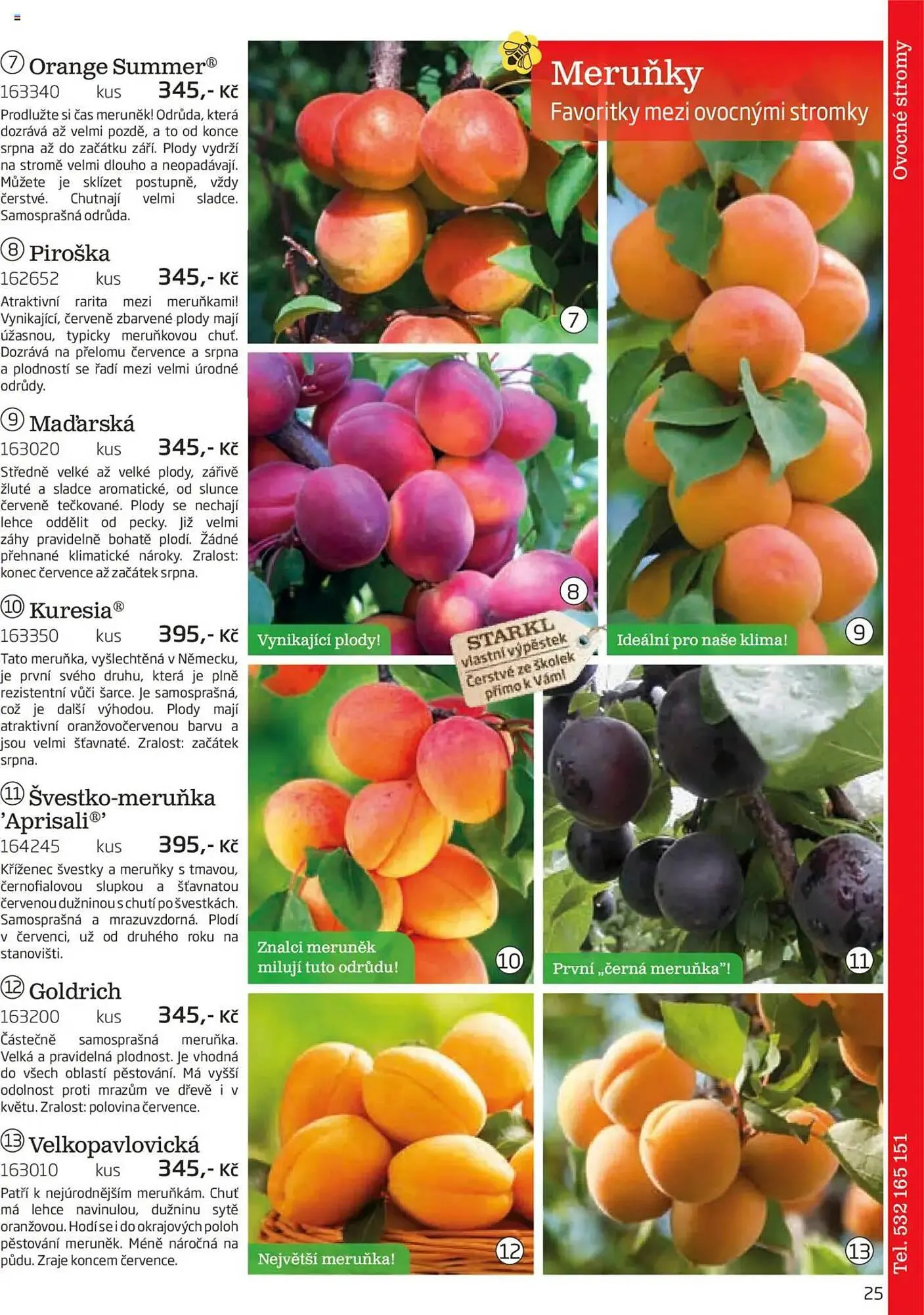 Starkl leták - 1. srpna 30. listopadu 2025 - Page 25