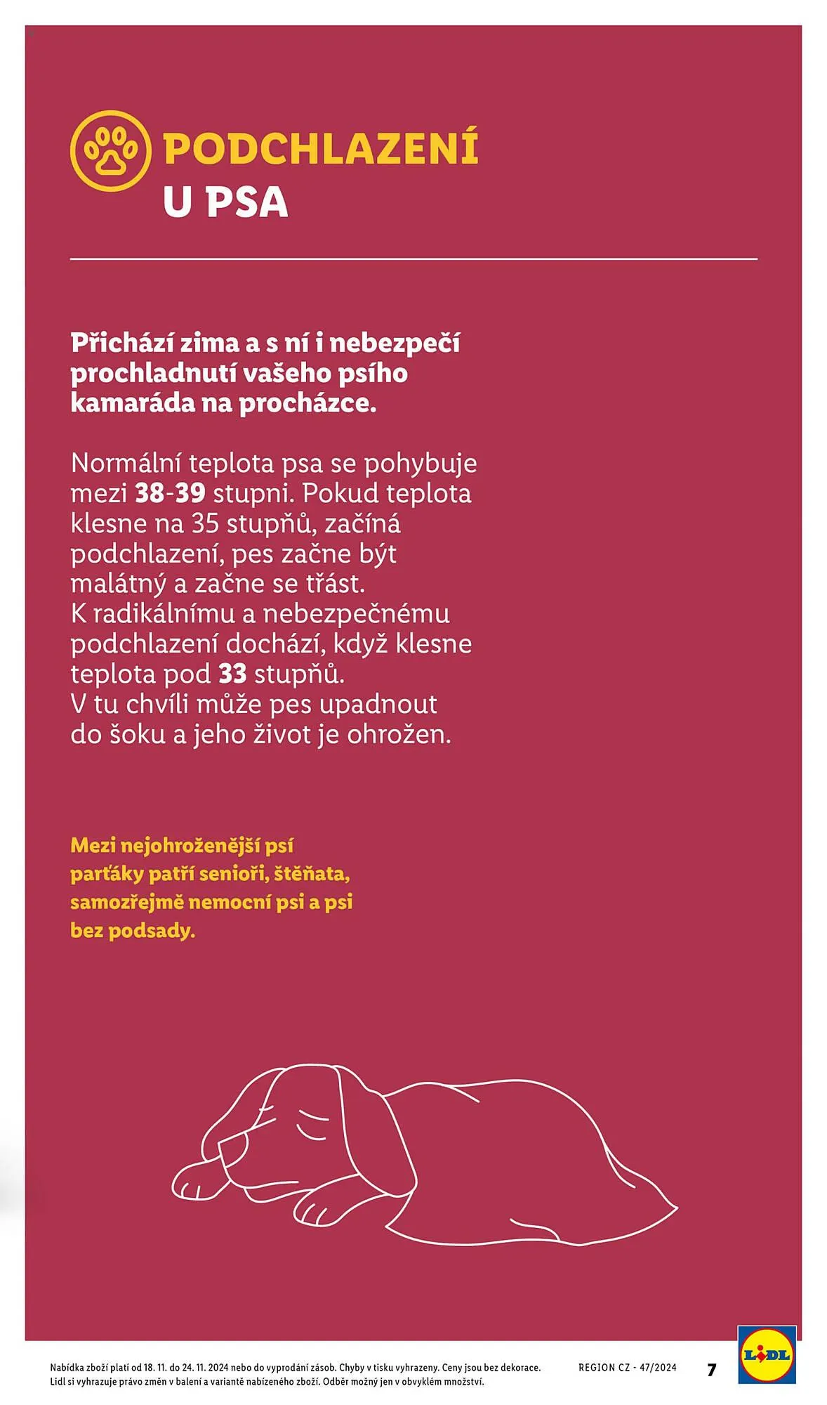 Lidl leták - 18. listopadu 24. listopadu 2024 - Page 7