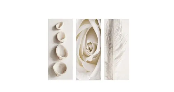 3dílný obraz MIX - moderní nástěnná dekorace z MDF, 70 x 50 cm - II. jakost, POUZE OSOBNÍ ODBĚR