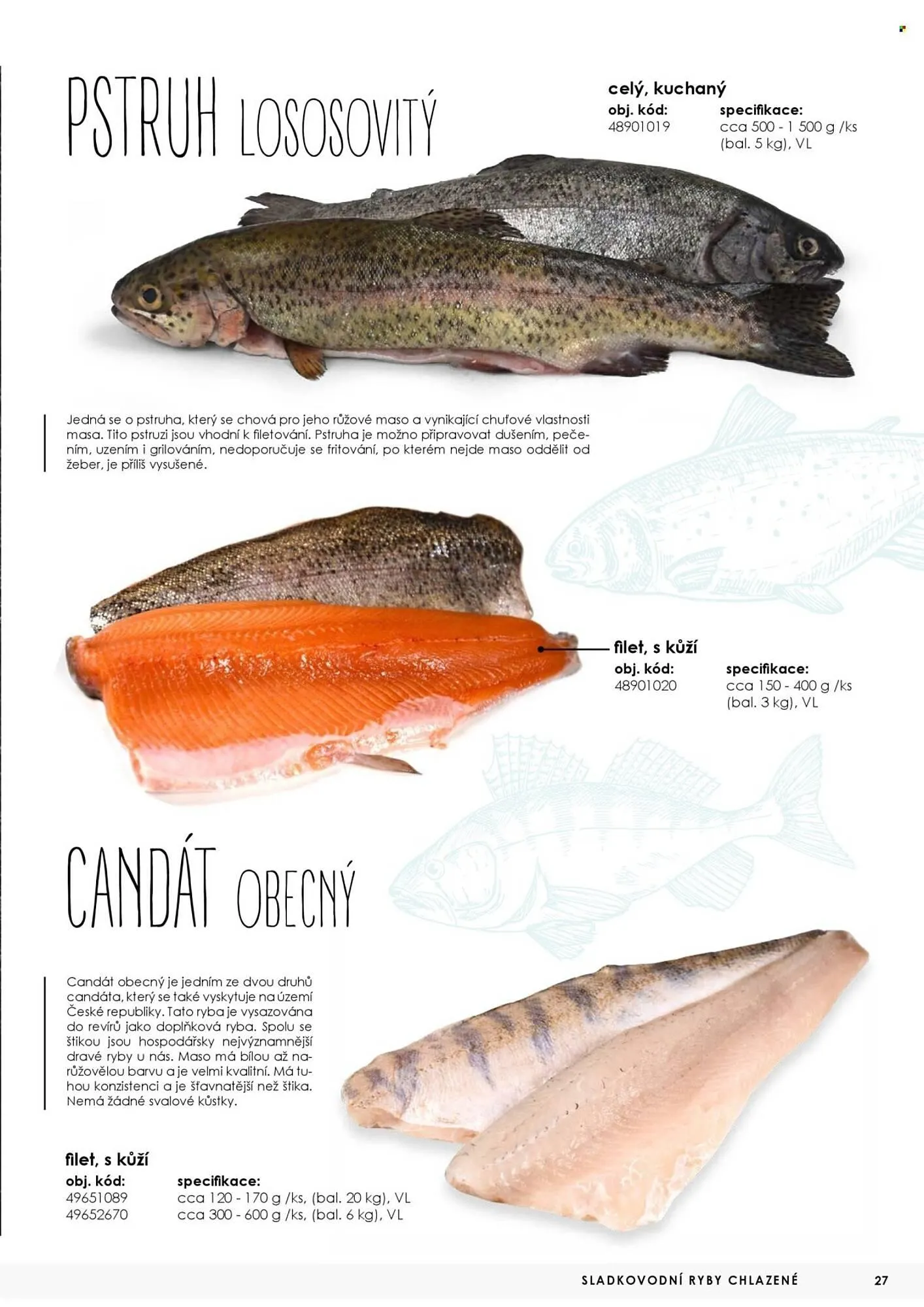 Jip leták - 7. května 31. prosince 2025 - Page 27