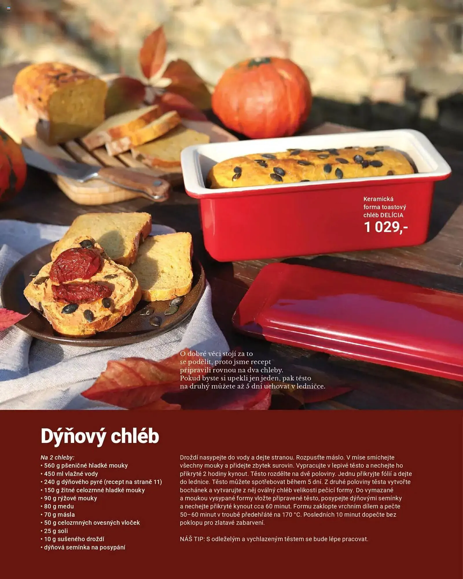 Tescoma leták - 20. října 28. února 2026 - Page 11