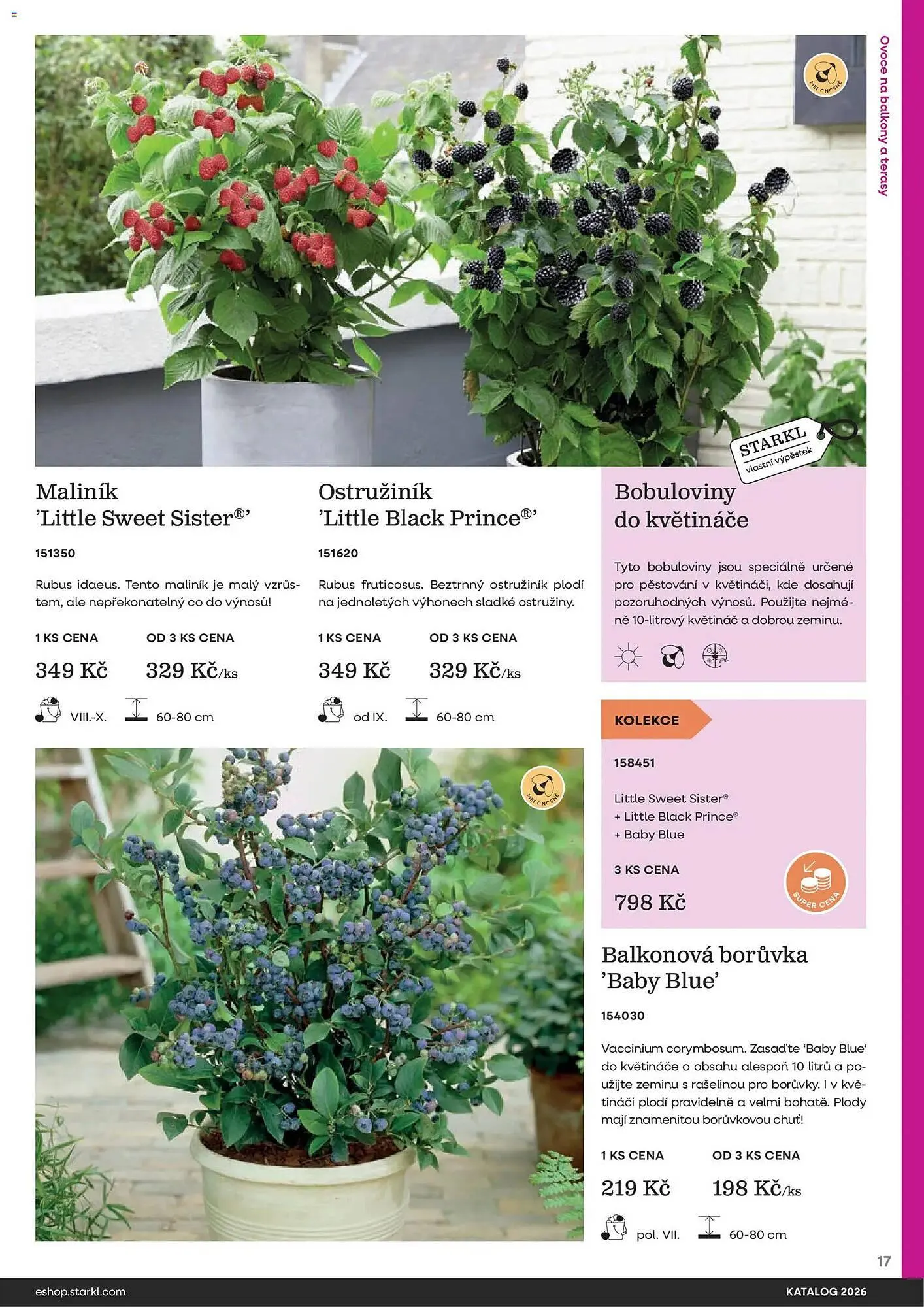 Starkl katalog - 25. února 31. prosince 2026 - Page 17