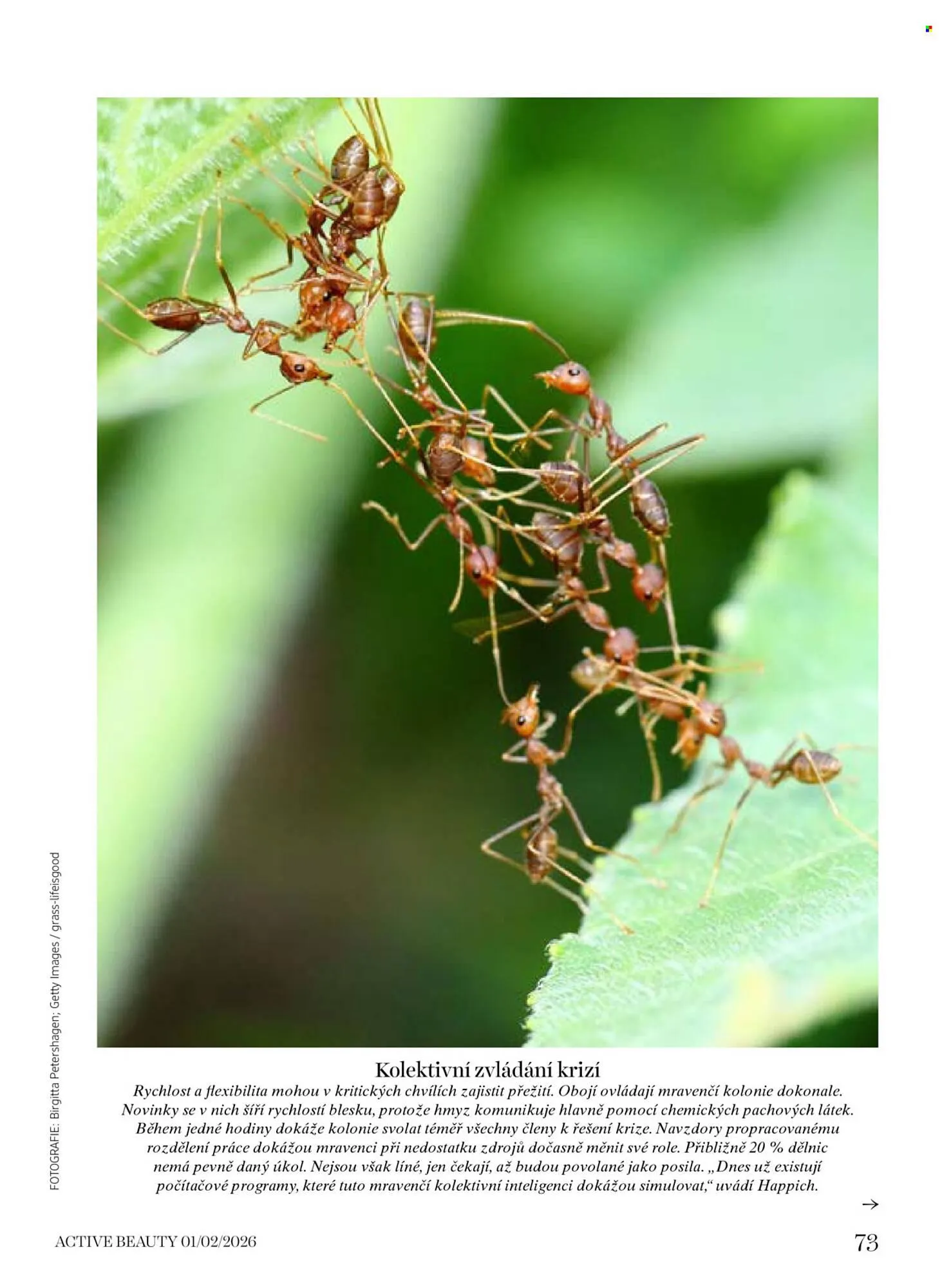 Dm drogerie leták - 16. ledna 5. března 2026 - Page 73