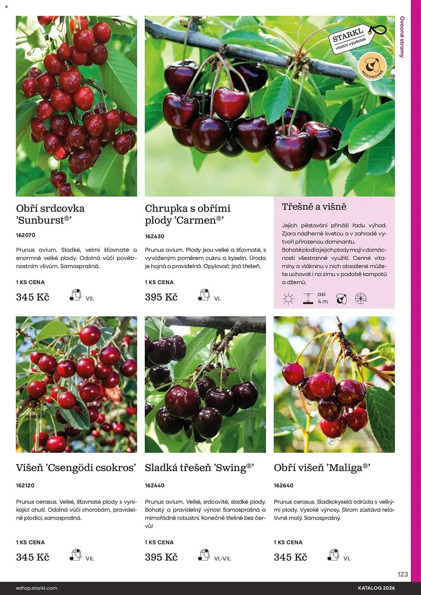 Starkl katalog - 25. února 31. prosince 2026 - Page 123