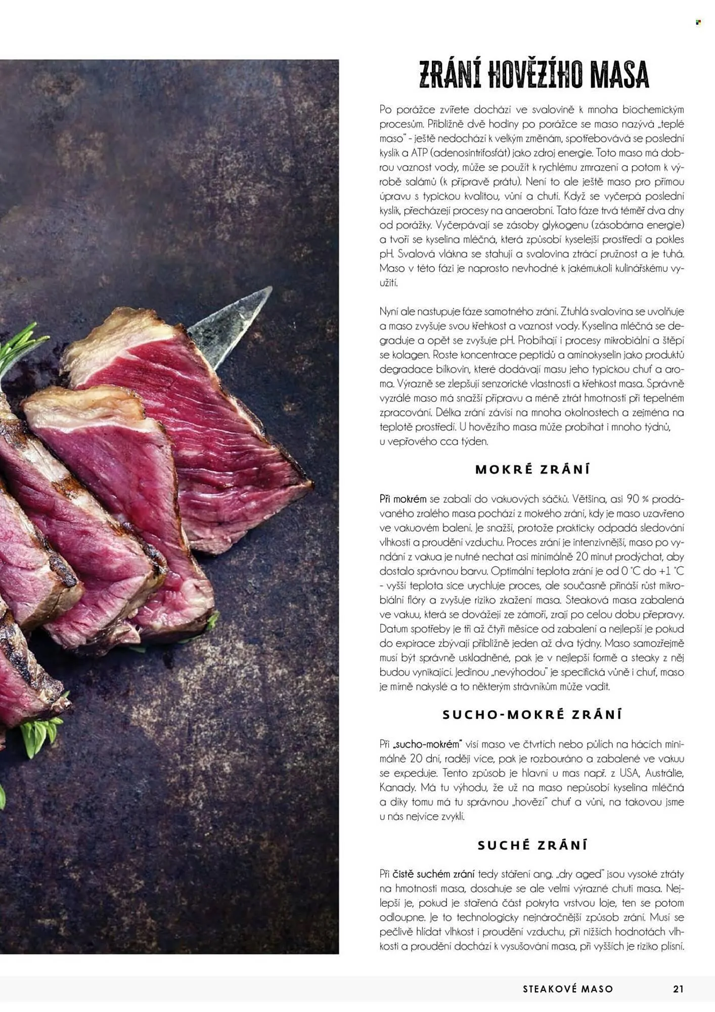 Jip leták - 23. dubna 31. prosince 2026 - Page 21