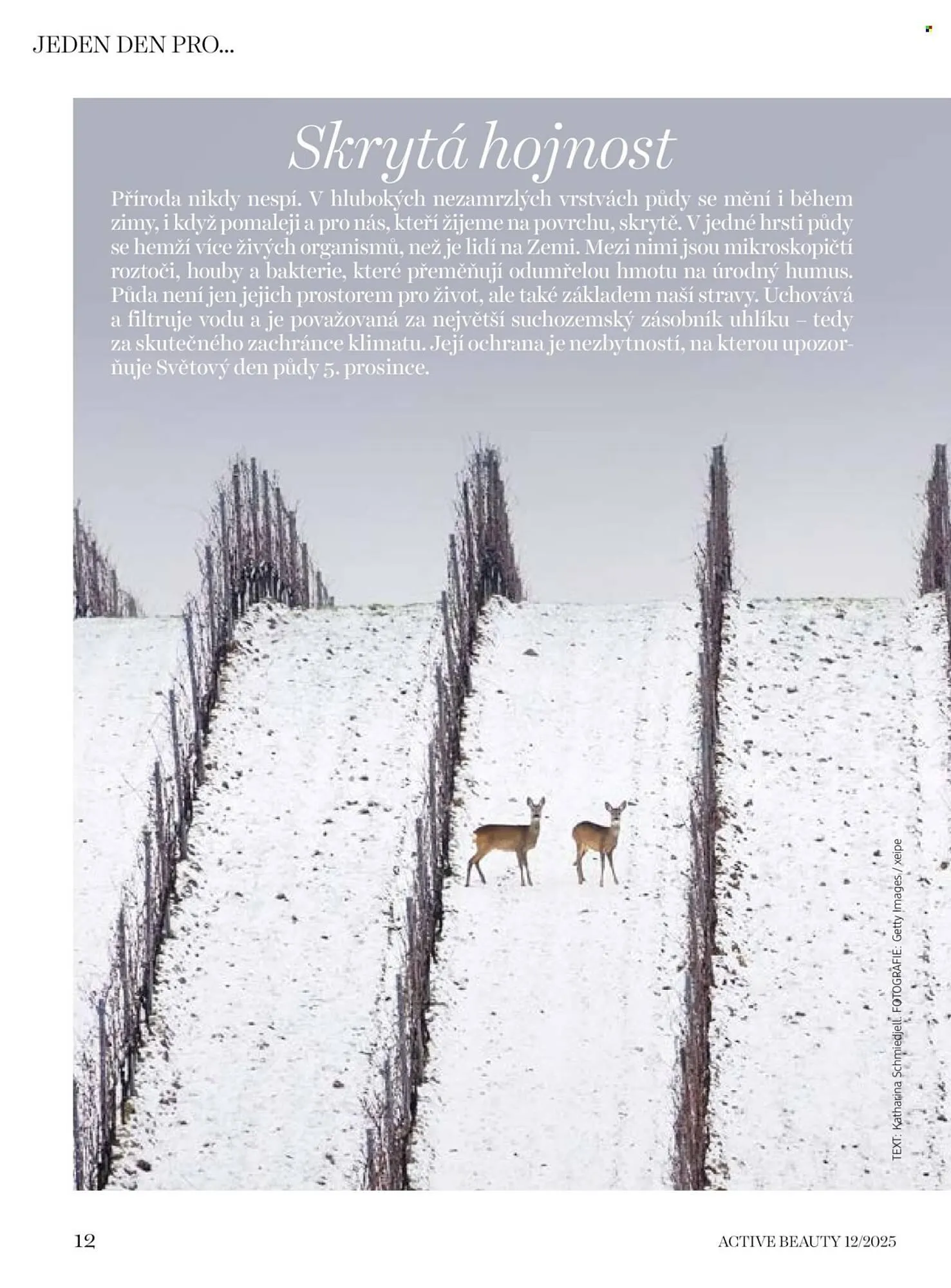 Dm drogerie leták - 5. prosince 15. ledna 2026 - Page 12