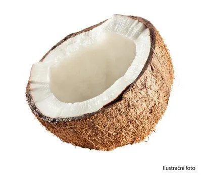 Kokosový ořech