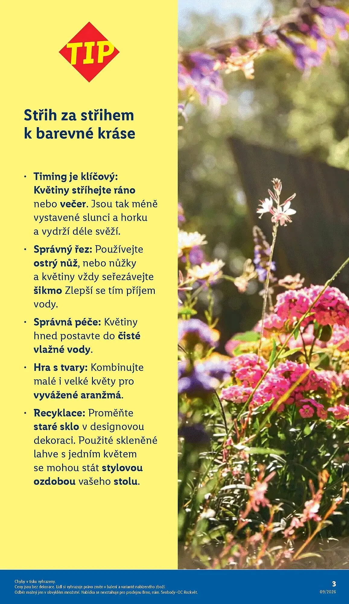 Lidl leták - 26. února 29. března 2026 - Page 3