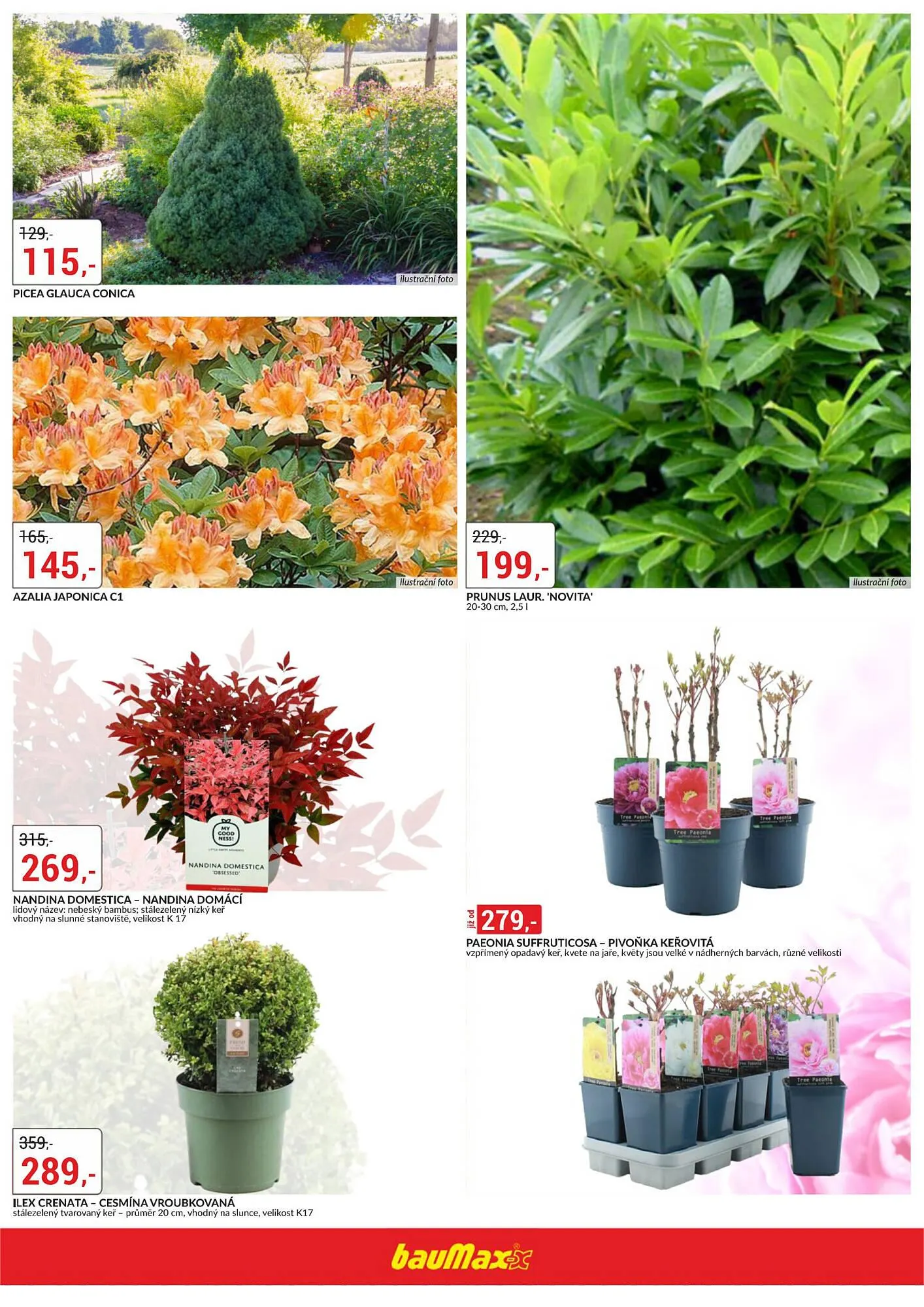 Baumax leták - 12. března 31. března 2026 - Page 3