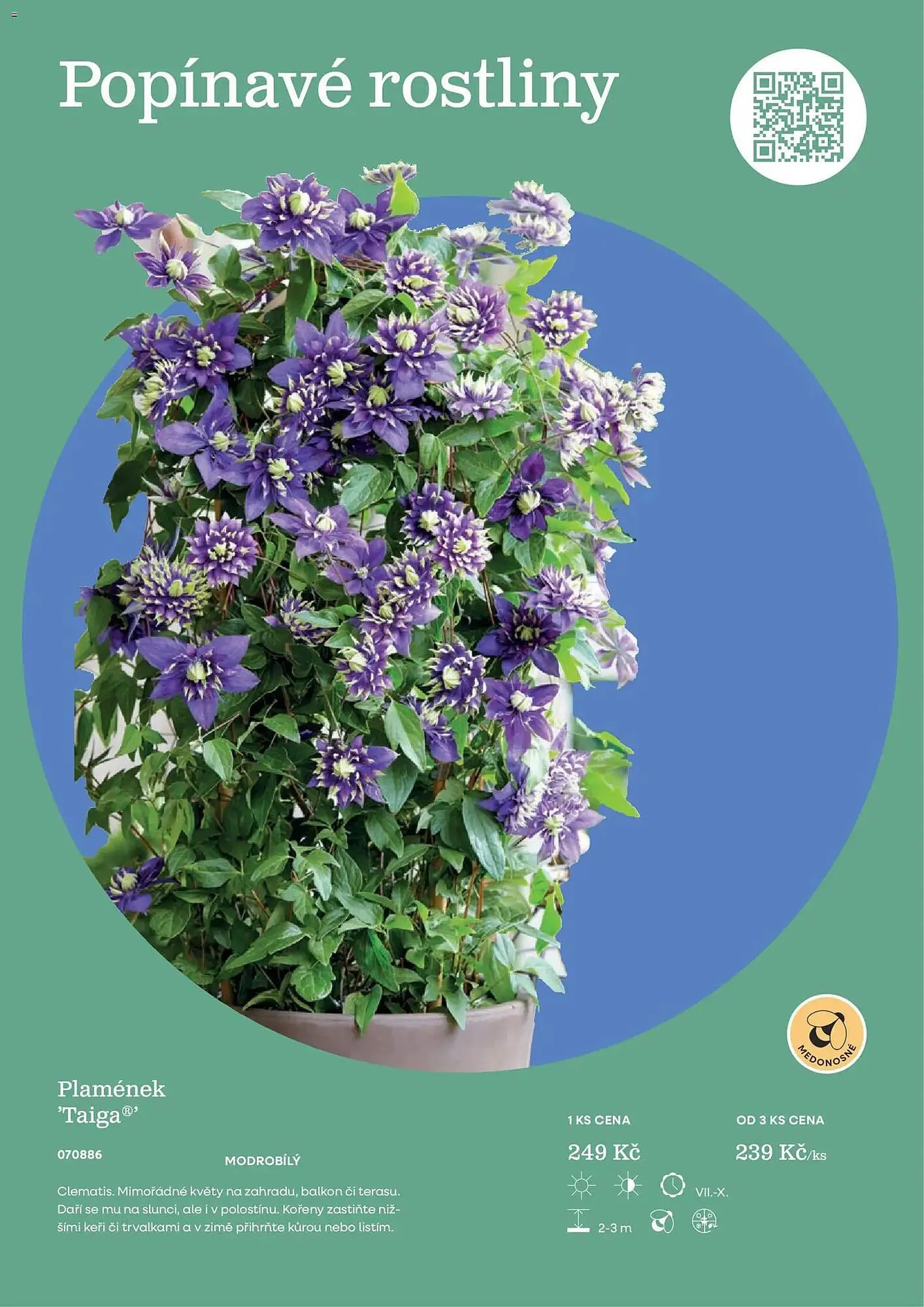 Starkl katalog - 25. února 31. prosince 2026 - Page 21