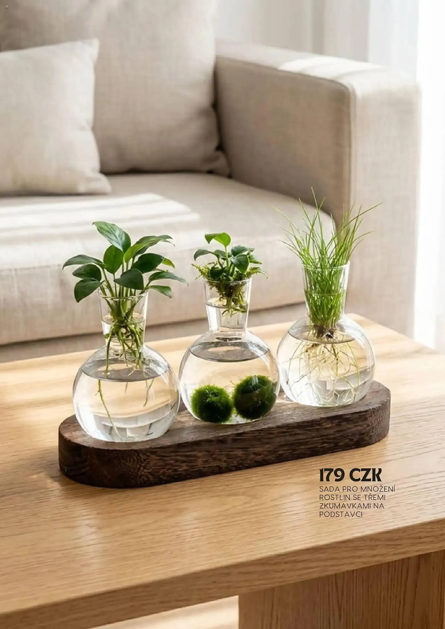 Sinsay leták - 9. ledna 9. února 2026 - Page 19