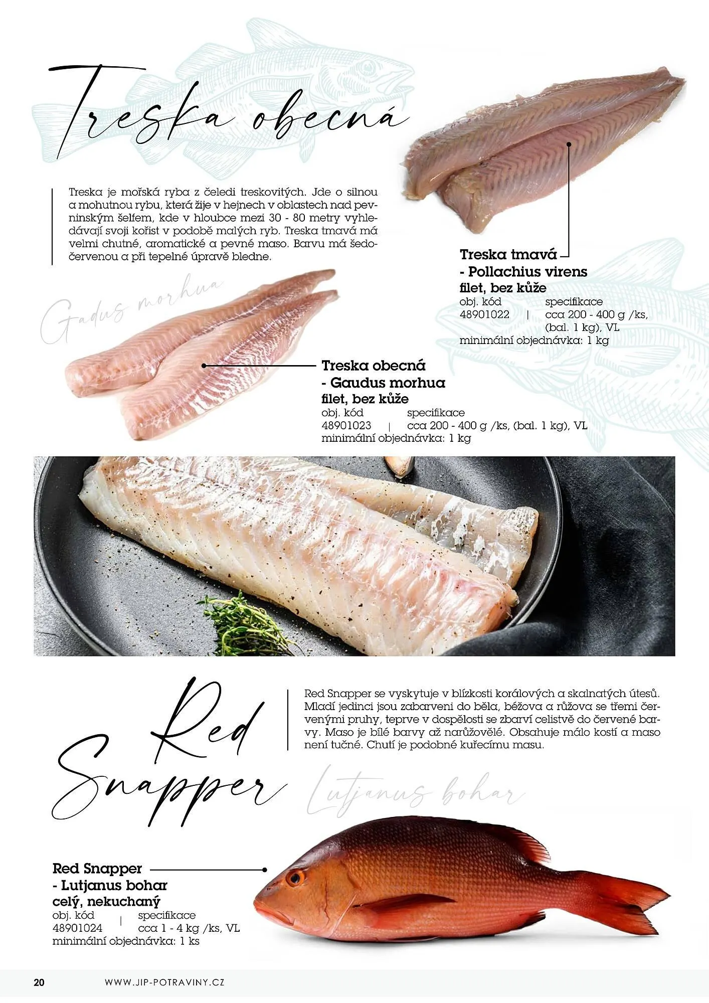 Jip RYBY leták - 22. května 29. prosince 2023 - Page 20