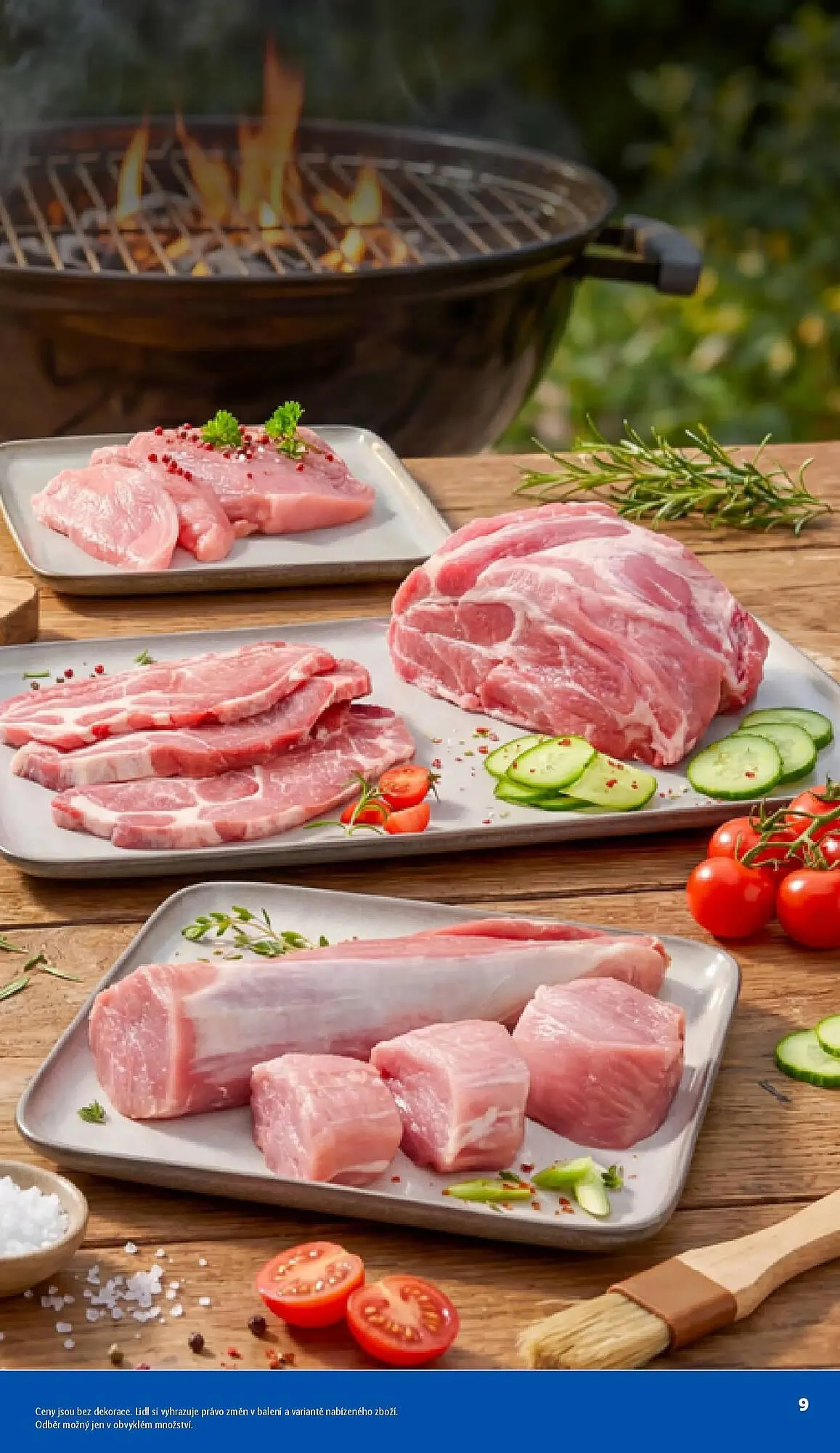 Lidl leták - 5. května 31. srpna 2026 - Page 9