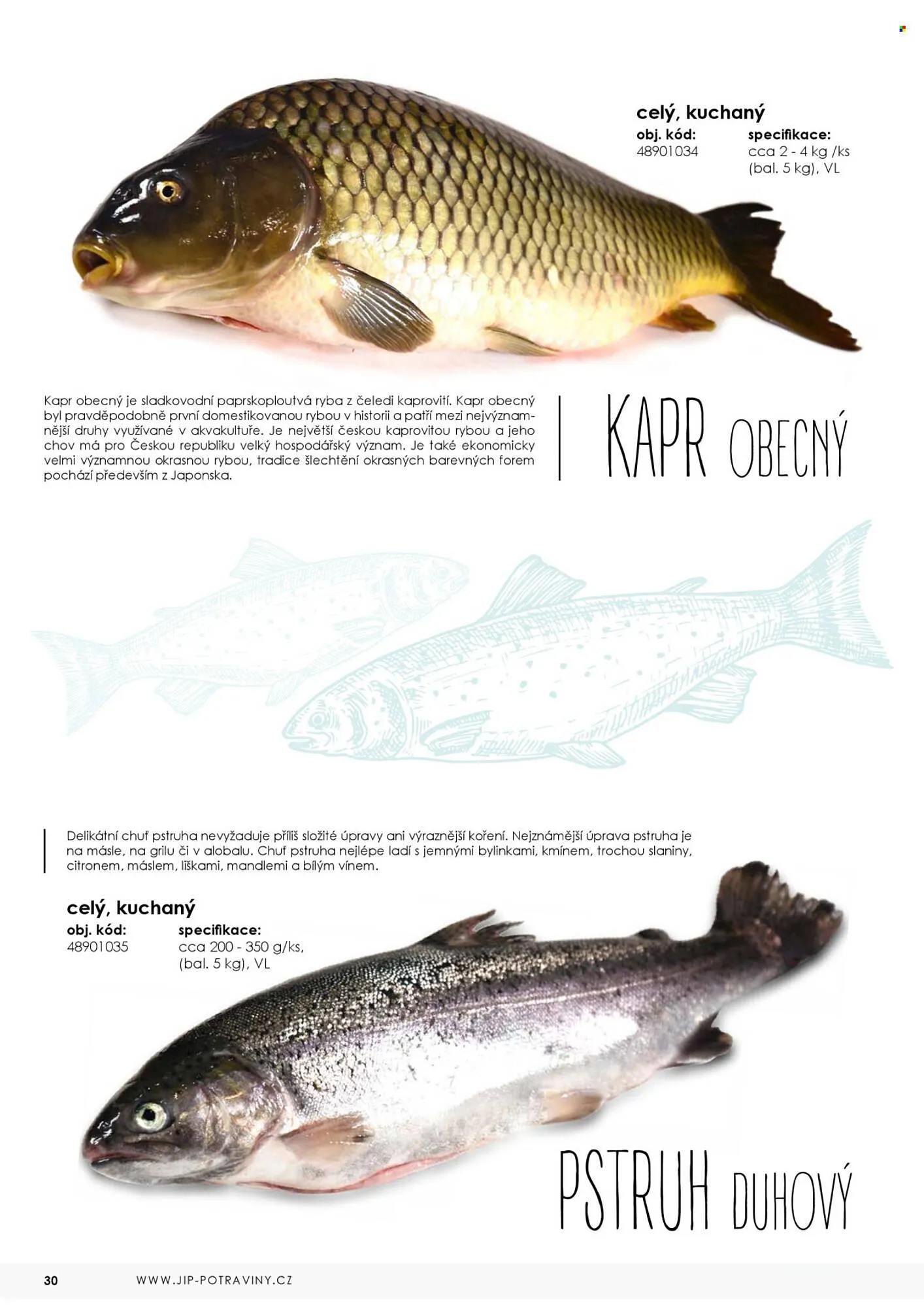 Jip leták - 7. května 31. prosince 2025 - Page 30