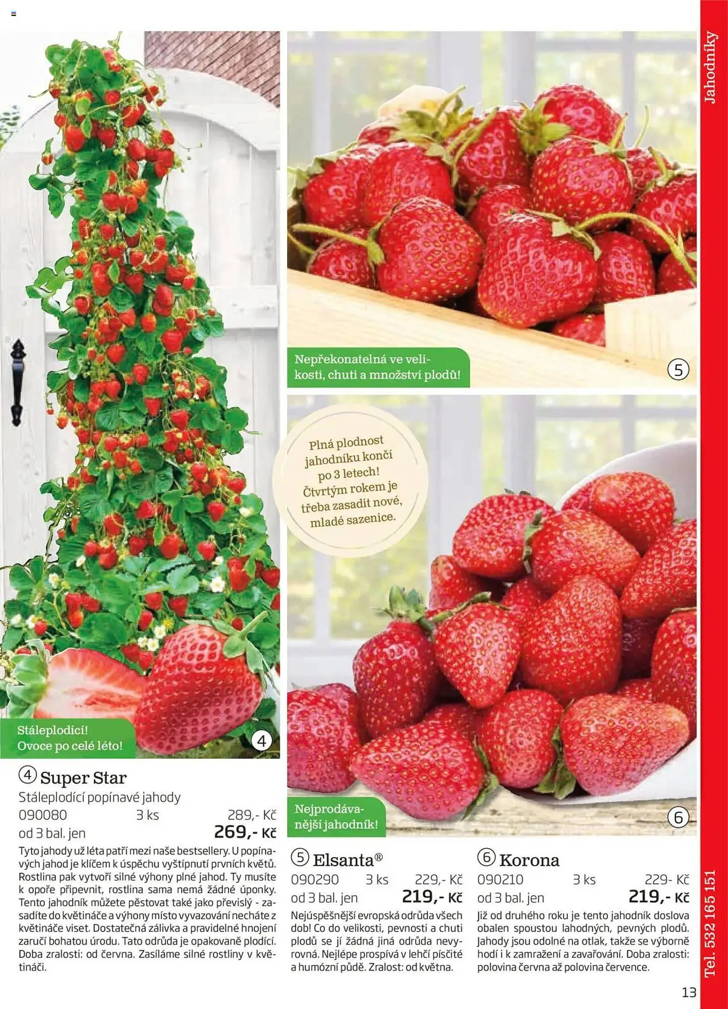 Starkl leták - 1. srpna 30. listopadu 2025 - Page 13