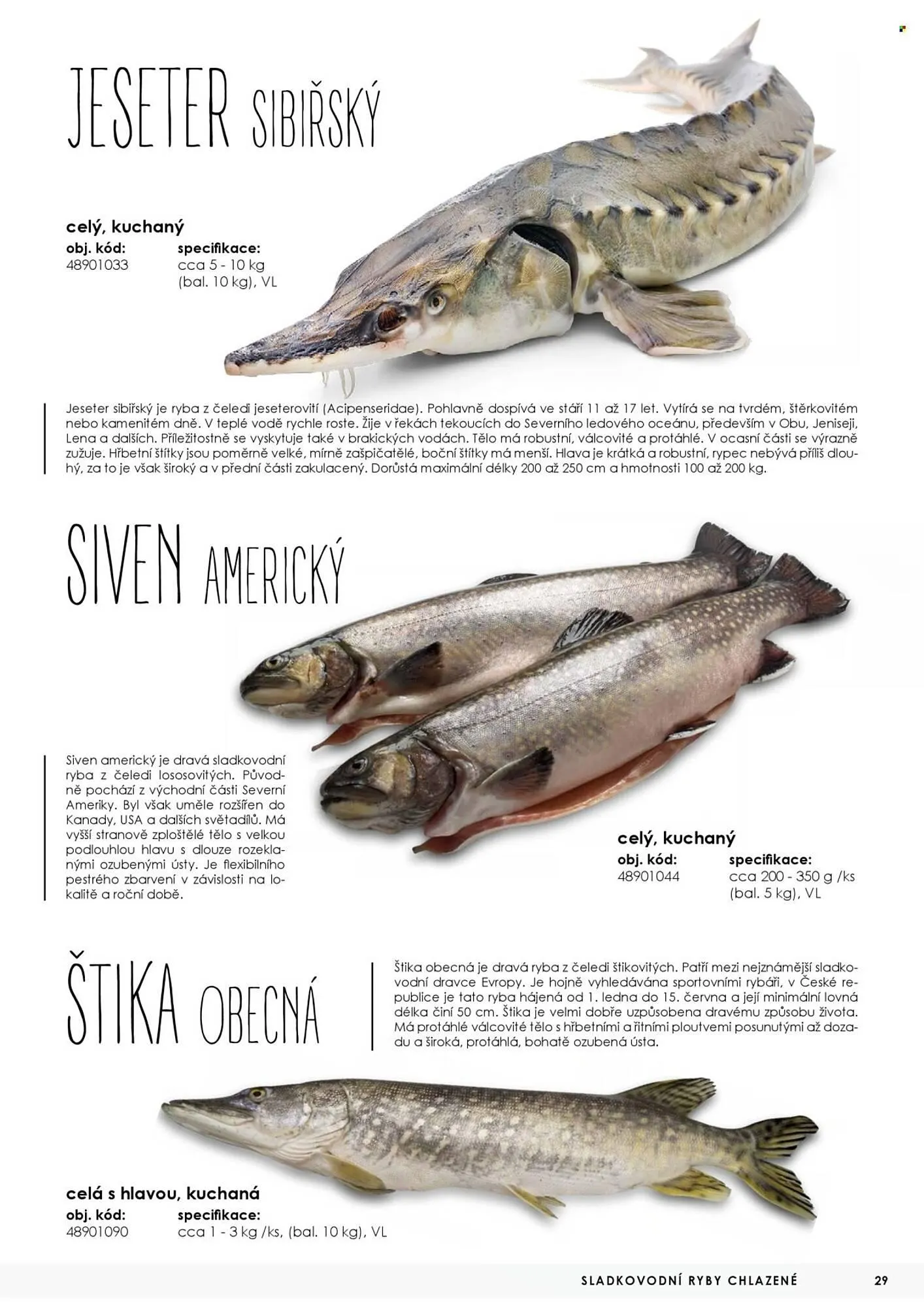 Jip leták - 7. května 31. prosince 2025 - Page 29