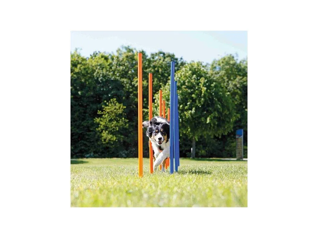 AGILITY Slalom, tyče 12ks