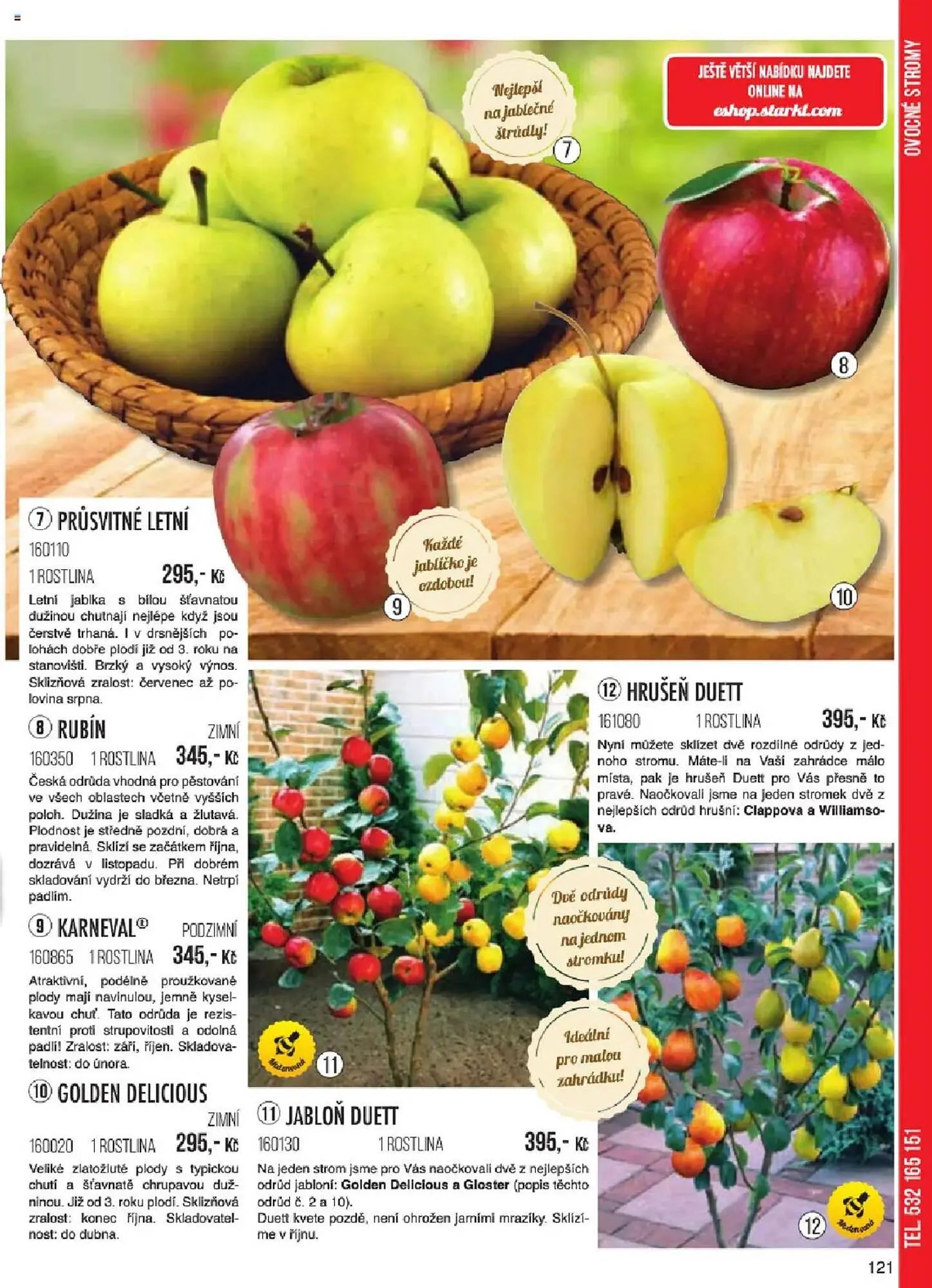 Starkl leták - 6. ledna 31. května 2025 - Page 121