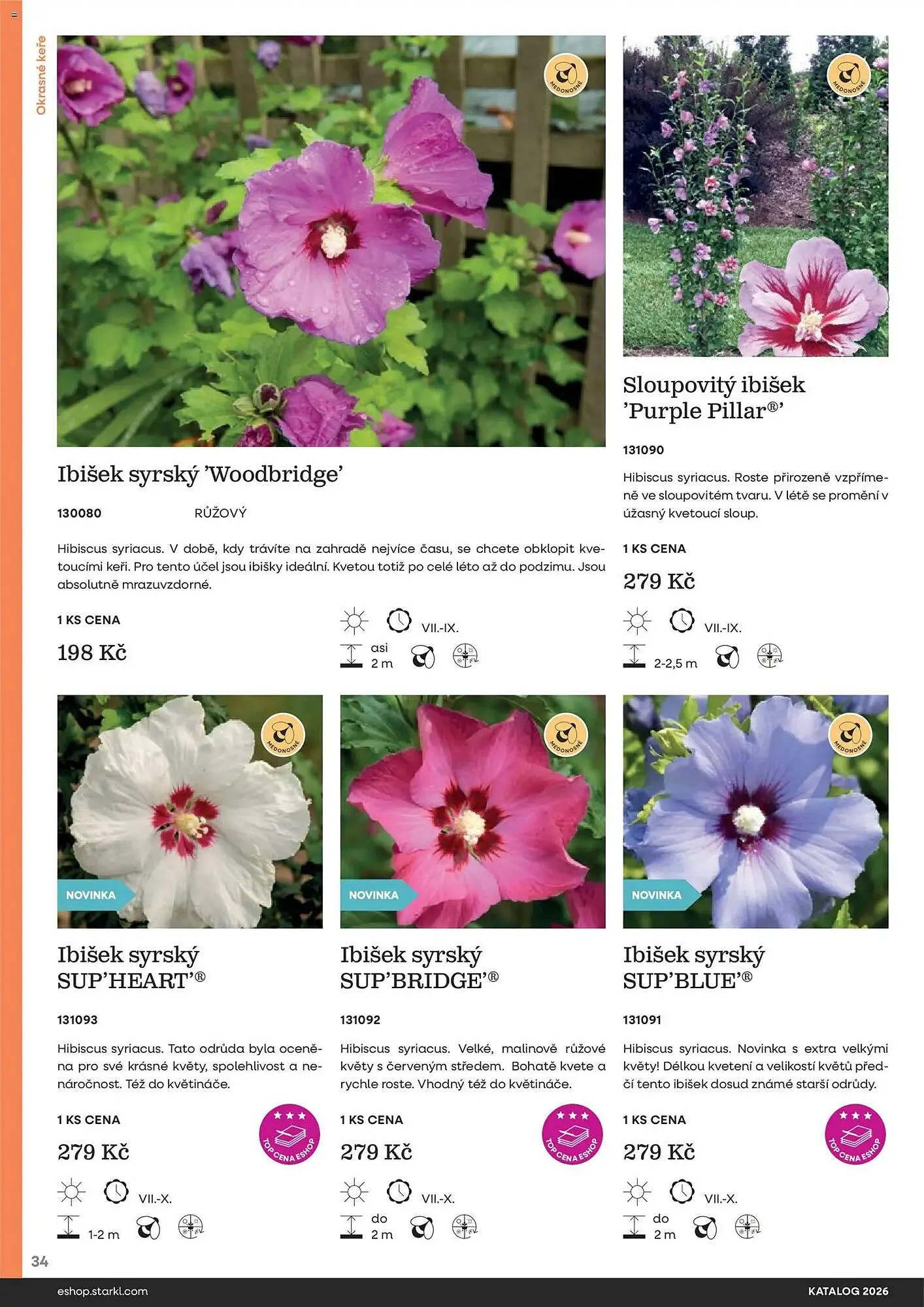 Starkl katalog - 25. února 31. prosince 2026 - Page 34