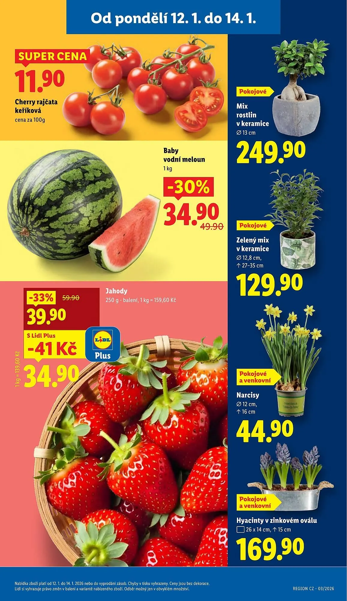 Lidl leták - 12. ledna 14. ledna 2026 - Page 11