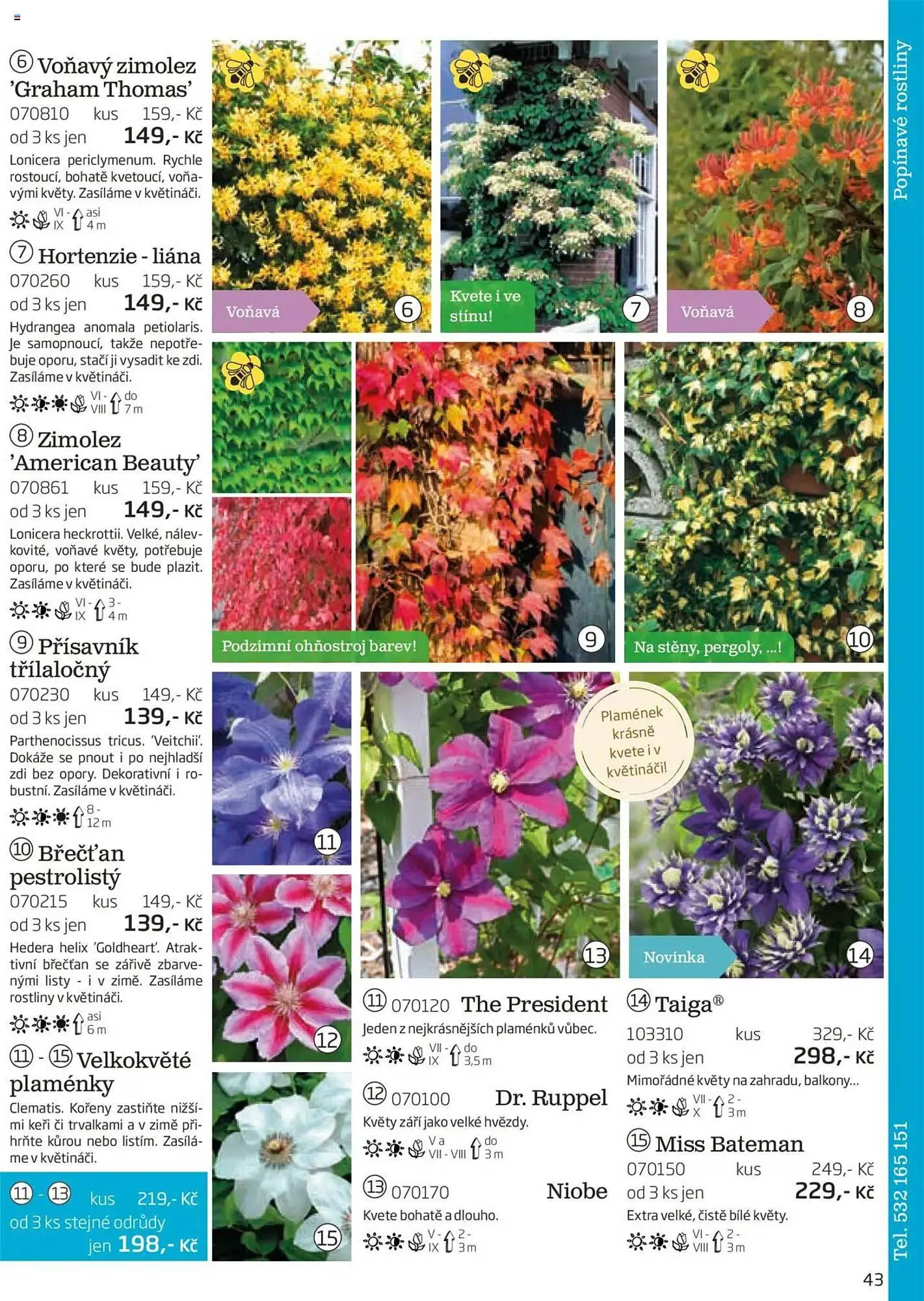 Starkl leták - 1. srpna 30. listopadu 2025 - Page 43