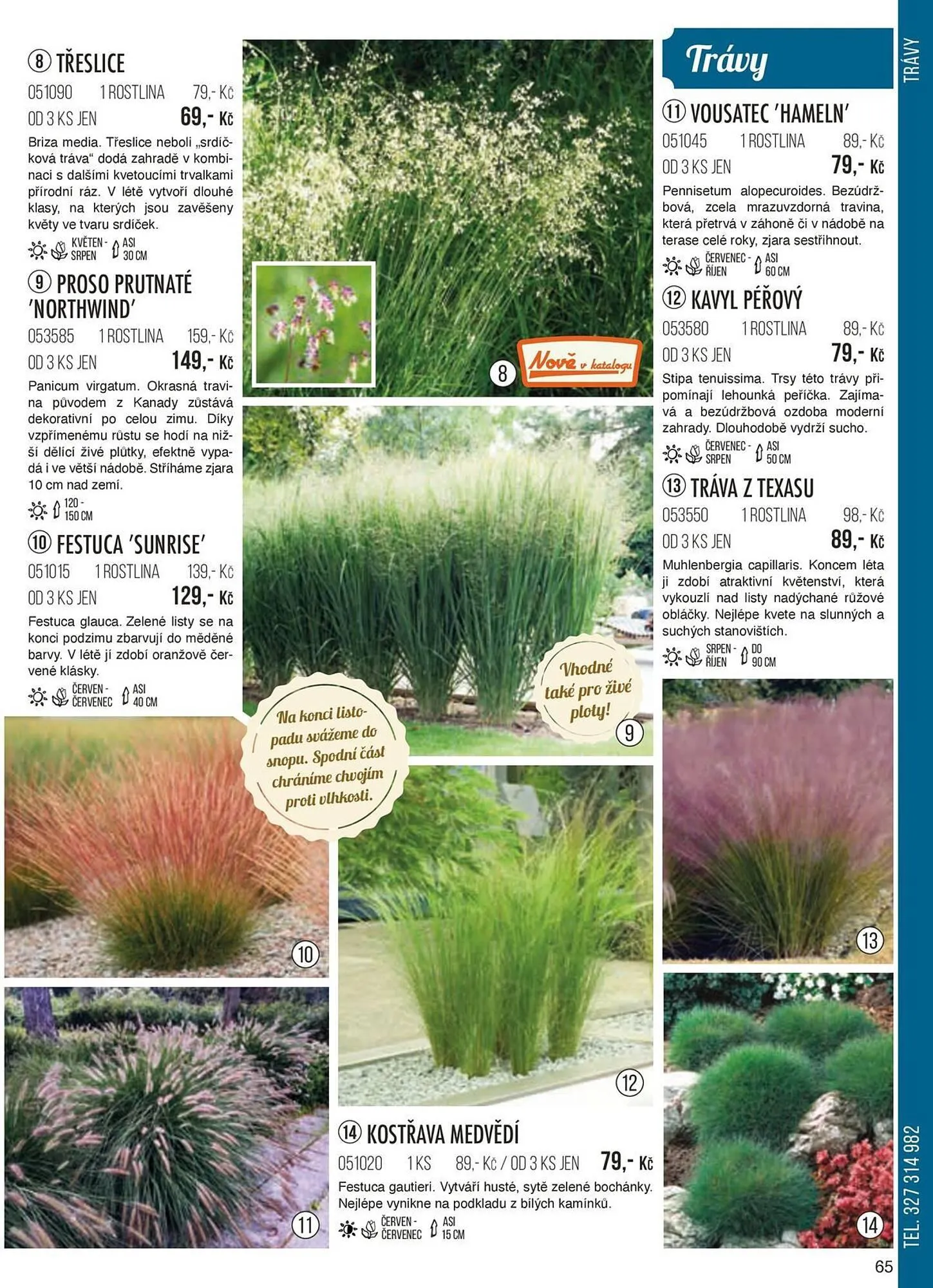 Starkl leták - 1. září 30. listopadu 2024 - Page 65