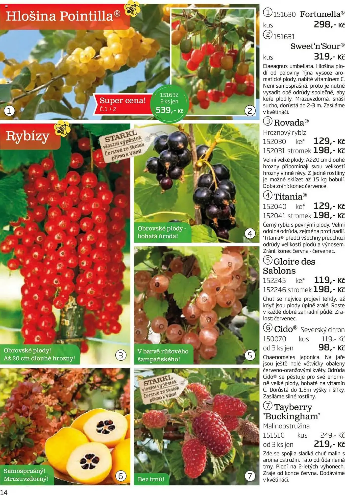 Starkl leták - 1. srpna 30. listopadu 2025 - Page 14