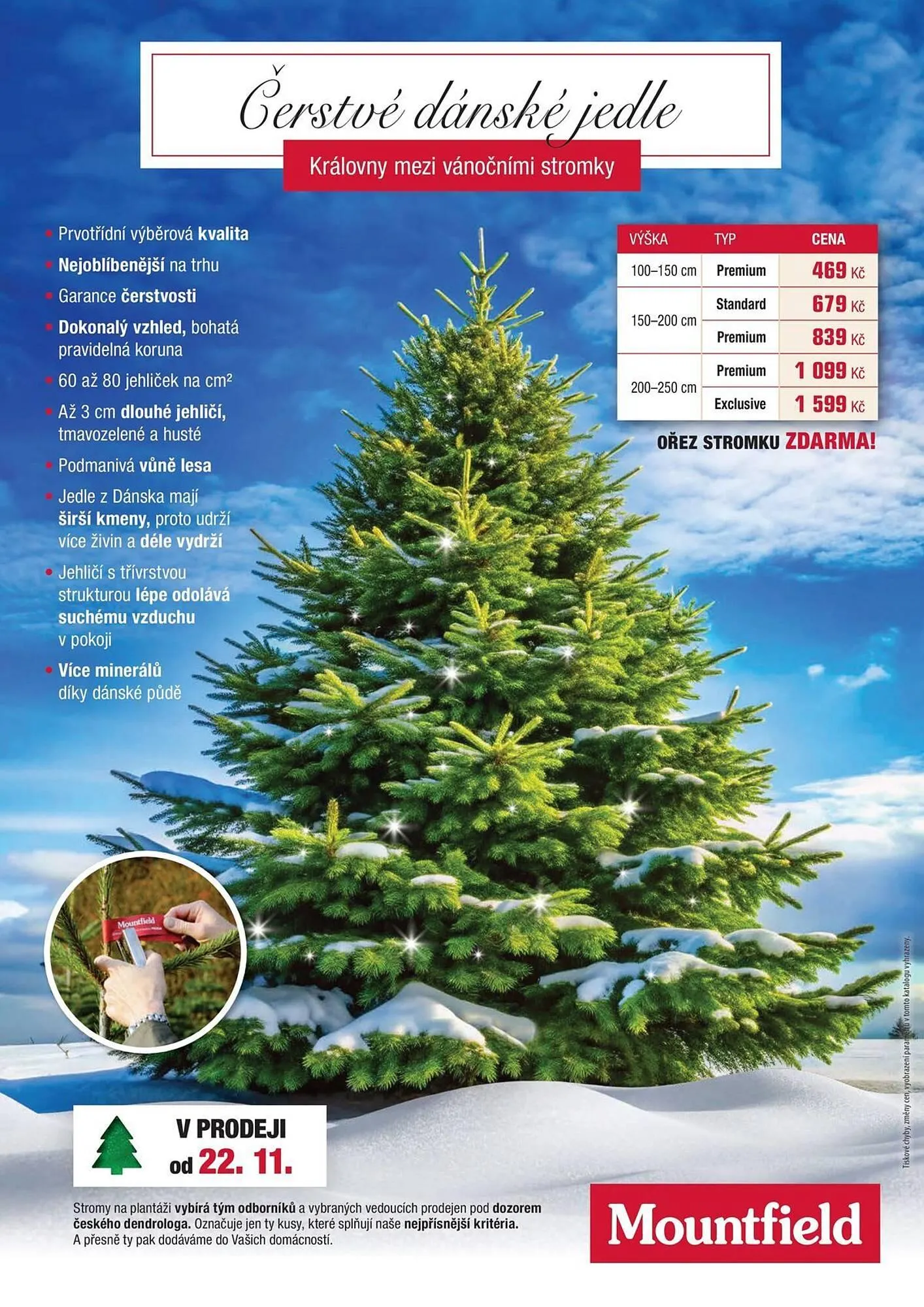 Mountfield leták - 14. listopadu 25. prosince 2024 - Page 11