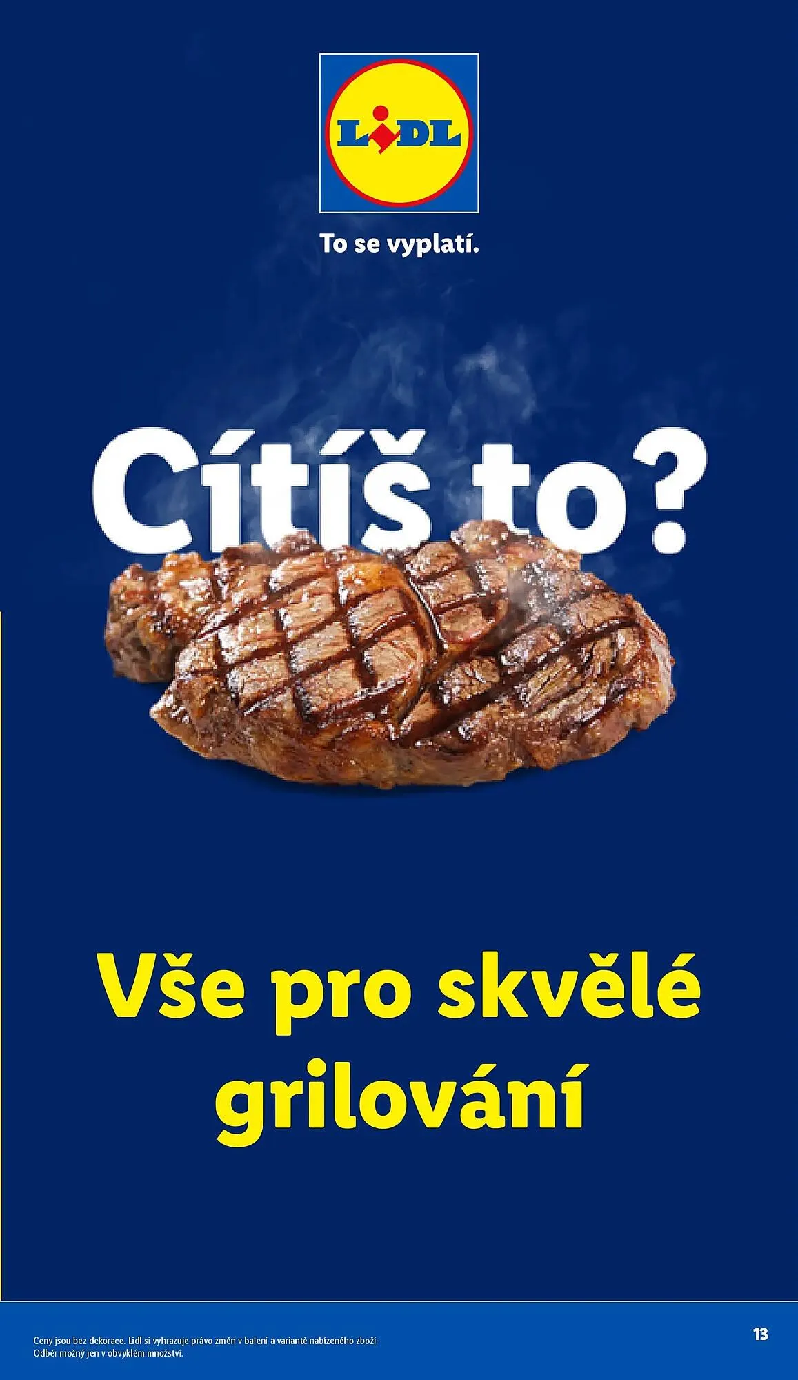 Lidl leták - 5. května 31. srpna 2026 - Page 13