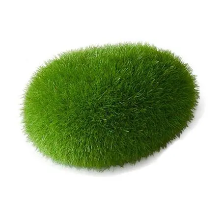 Dekorace do akvária Mech Aqua Della Duvo+ 6 x 4,5 x 3,5 cm