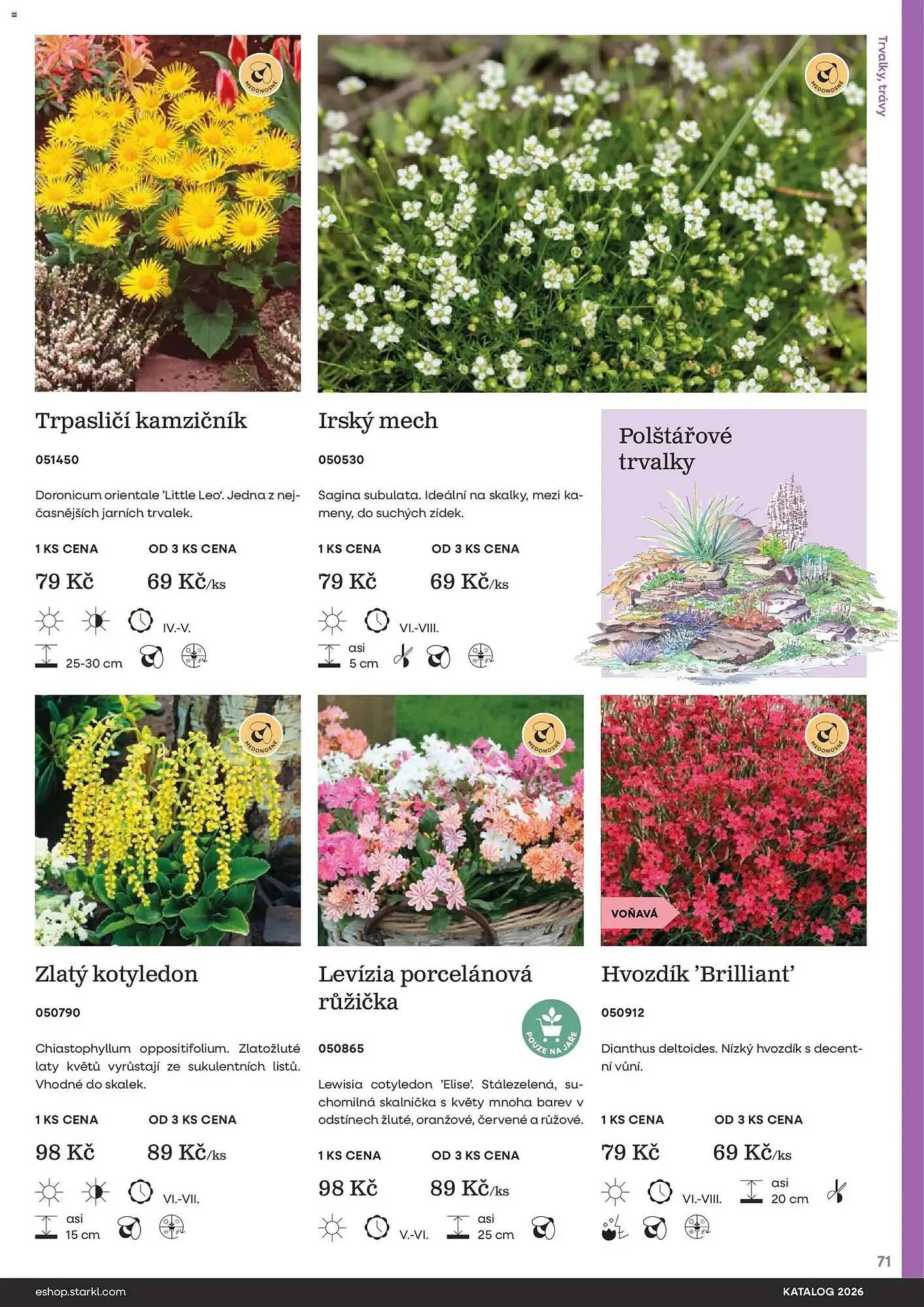 Starkl katalog - 25. února 31. prosince 2026 - Page 71