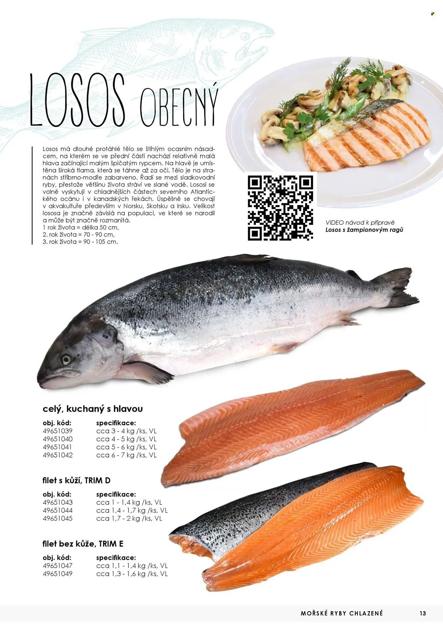 Jip leták - 7. května 31. prosince 2025 - Page 13