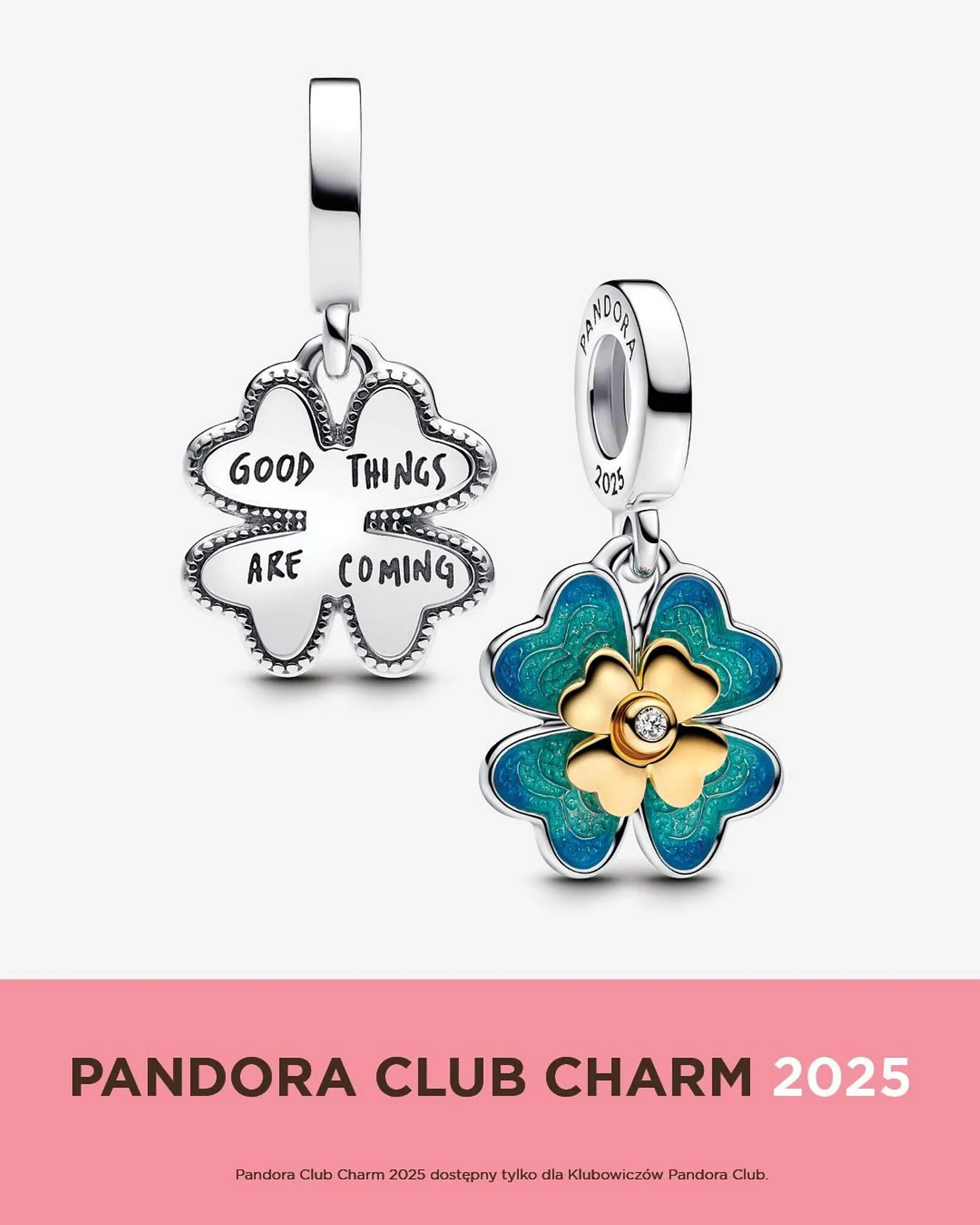 Gazetka Pandora gazetka od 8 stycznia do 21 stycznia 2025 - Strona 4