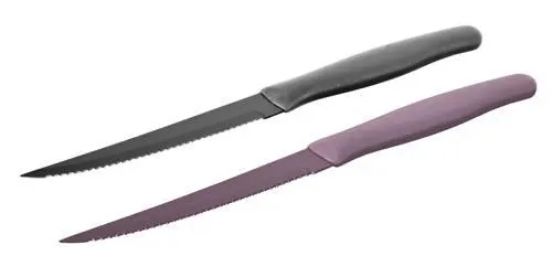 APETIT Nůž na steak APETIT 23,5 cm, display