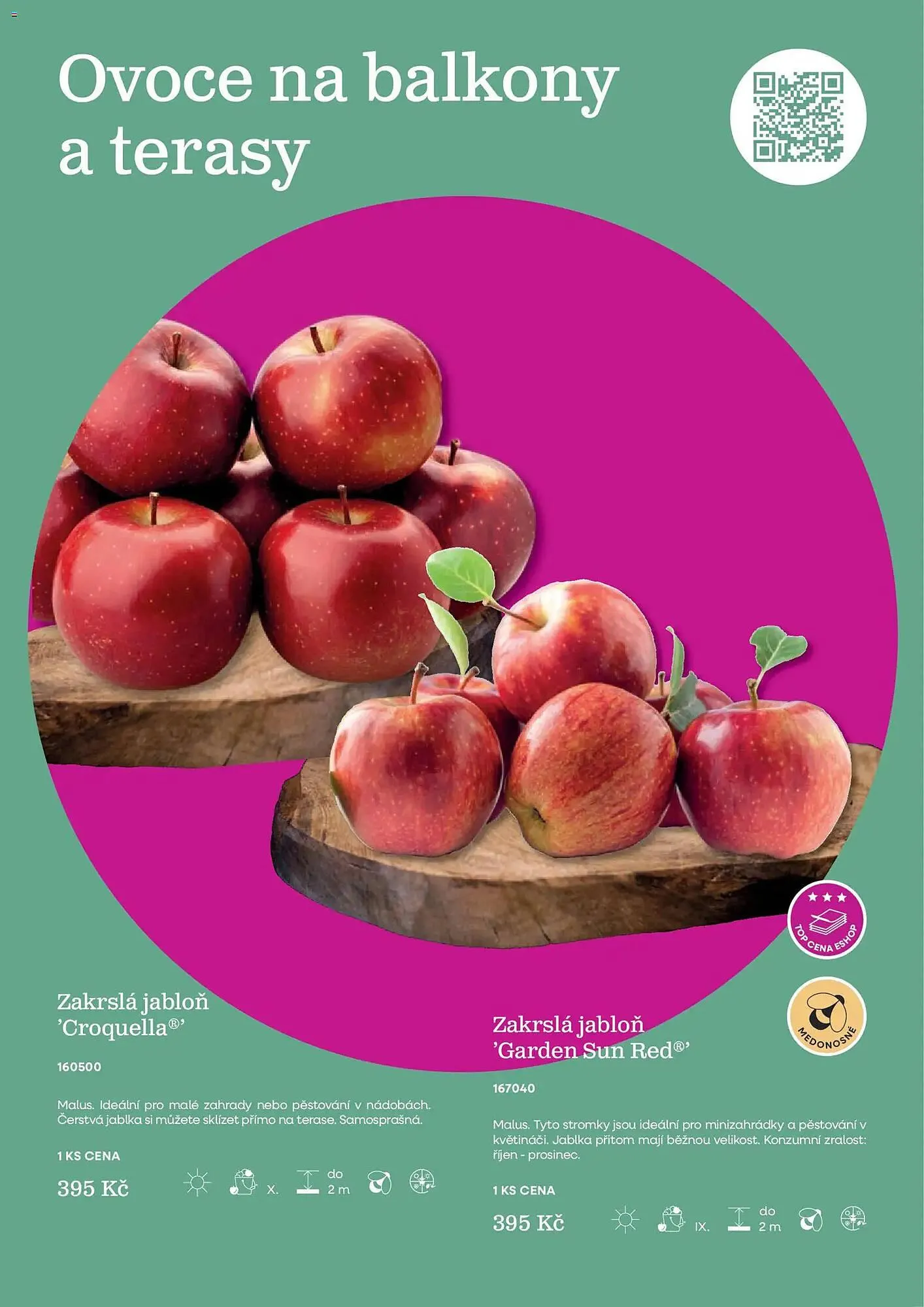 Starkl katalog - 25. února 31. prosince 2026 - Page 13