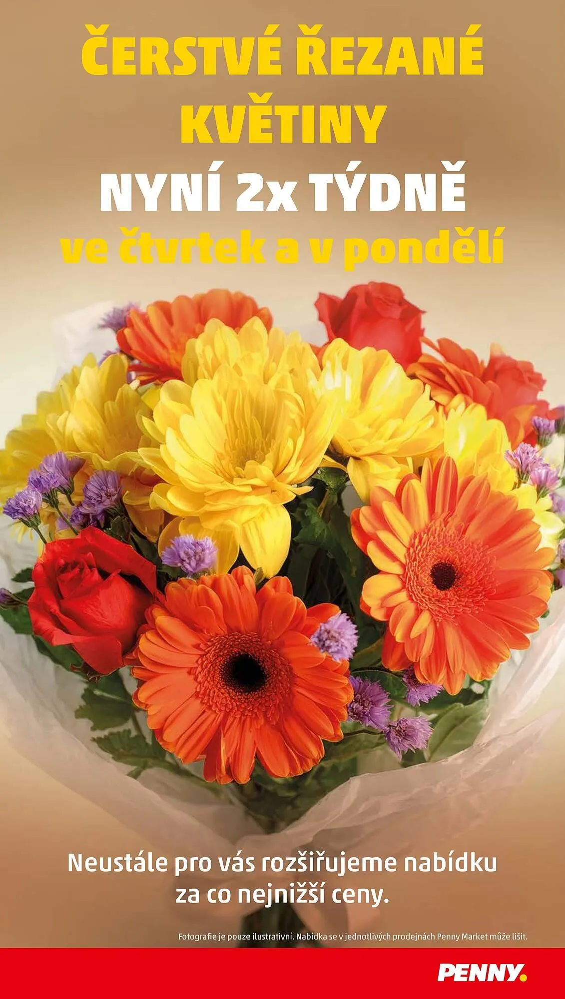 Penny Market leták - 8. ledna 14. ledna 2026 - Page 29